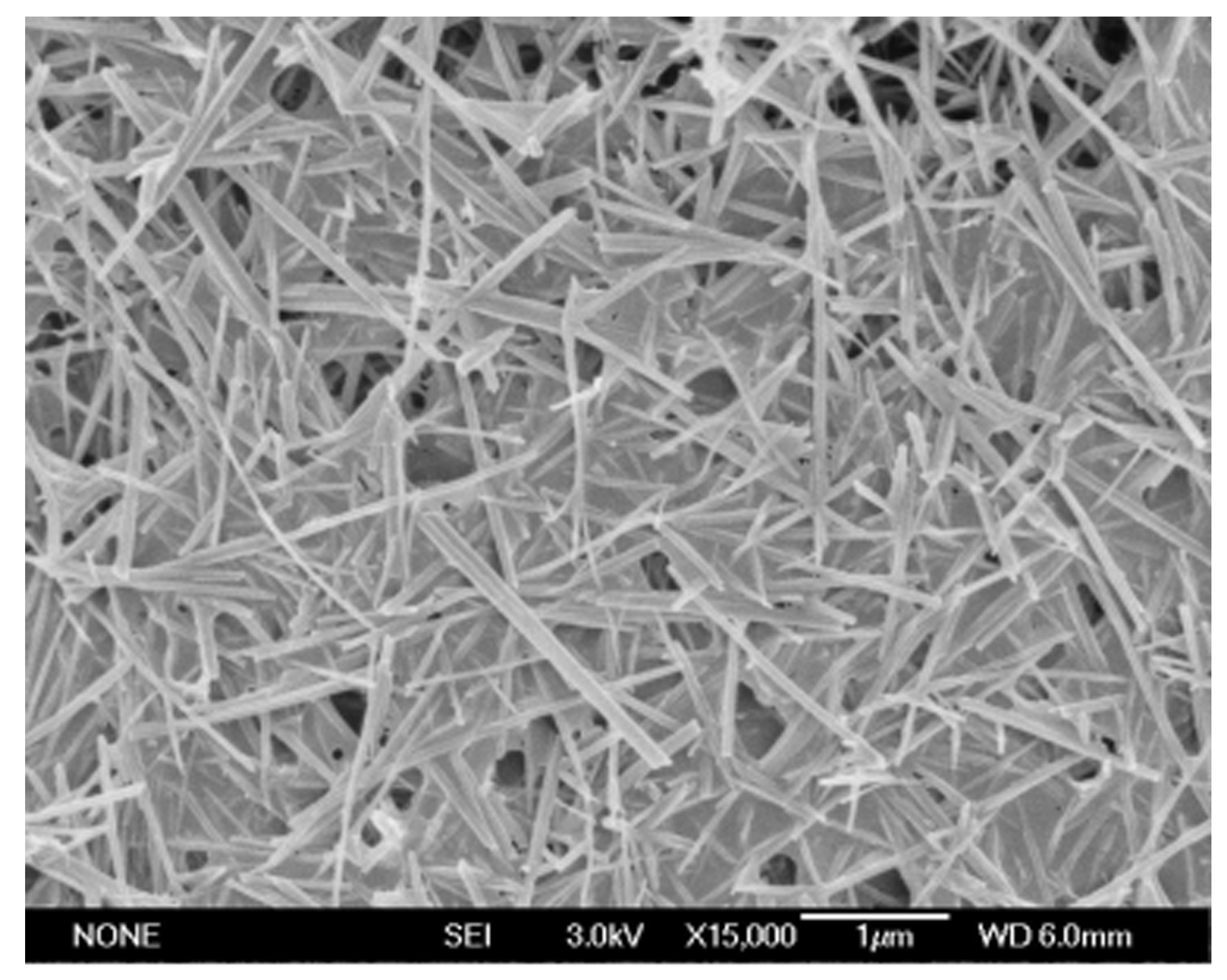 Coatings 15 00920 g001