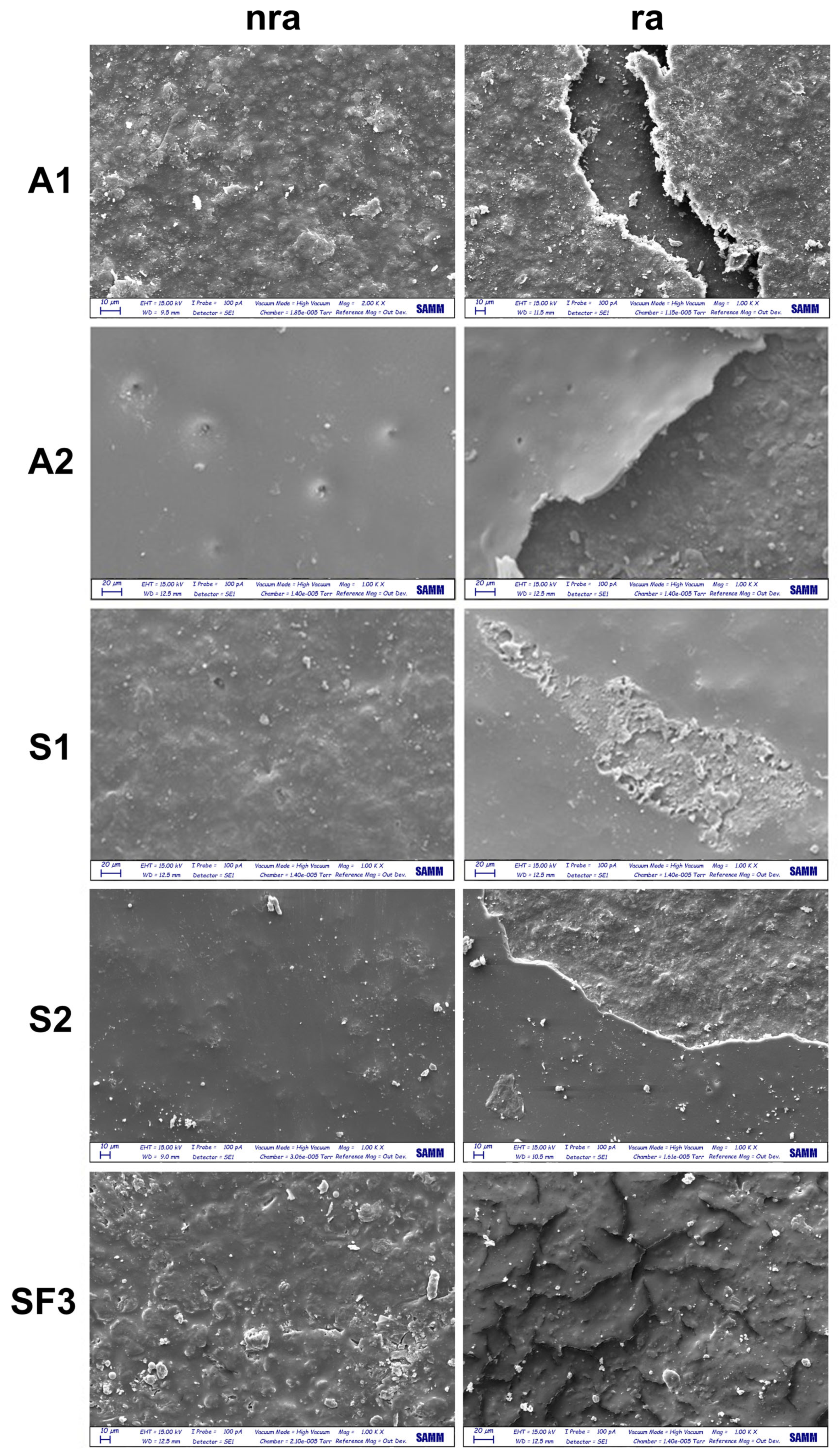 Coatings 15 00924 g007