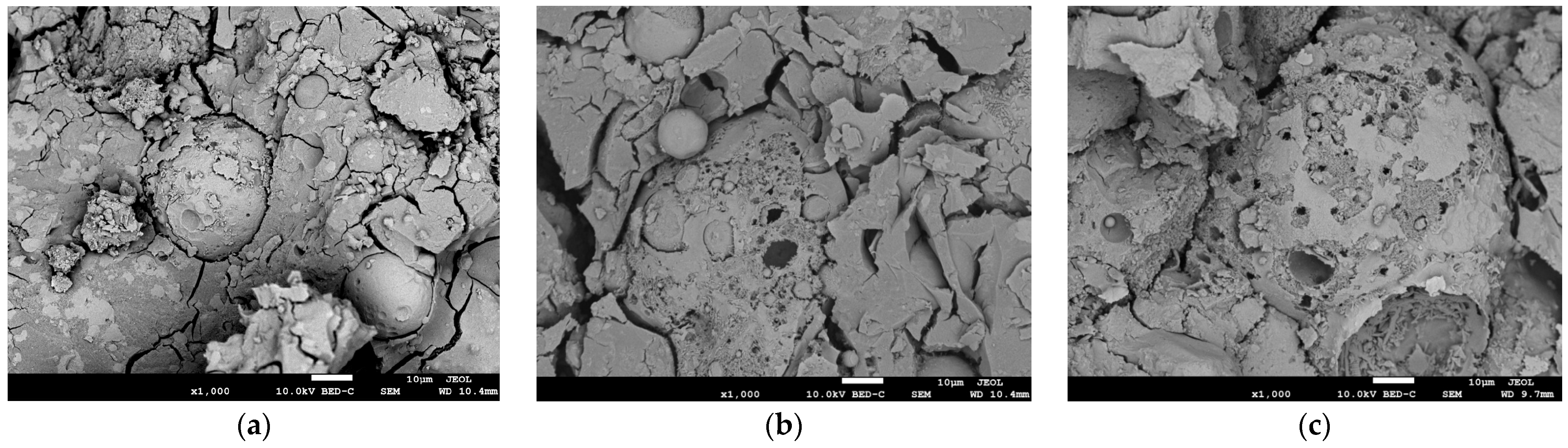 Coatings 15 00935 g007 Coatings 15 00935 g007