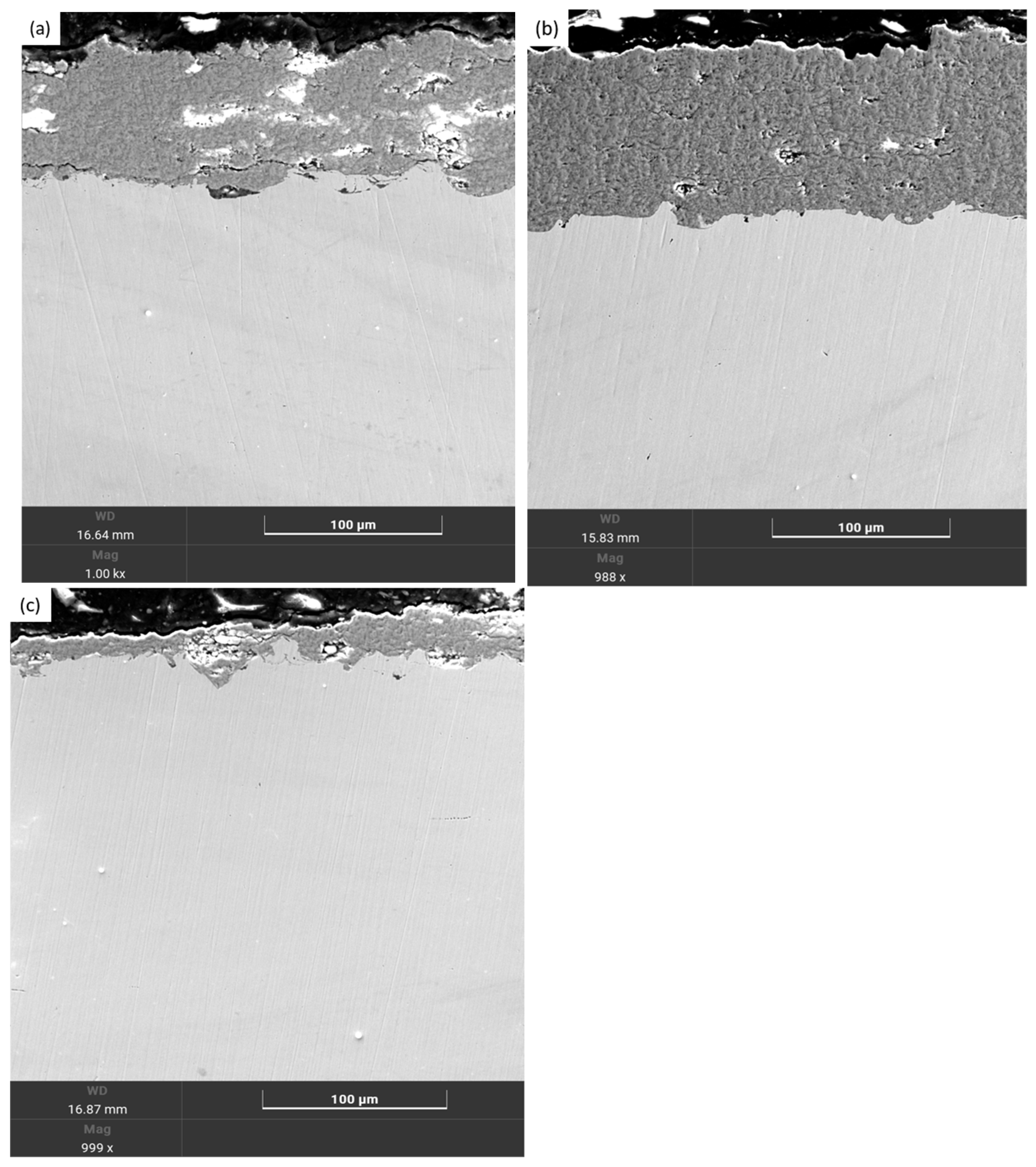 Coatings 15 00943 g004 Coatings 15 00943 g004