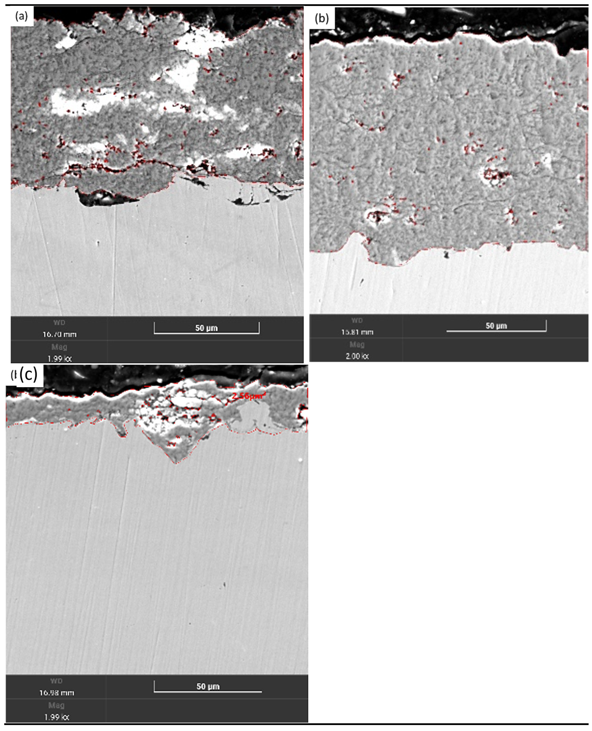 Coatings 15 00943 g005 Coatings 15 00943 g005