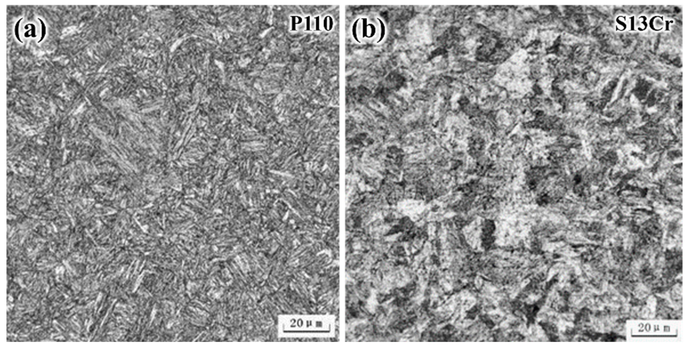 Coatings 15 00944 g001 Coatings 15 00944 g001