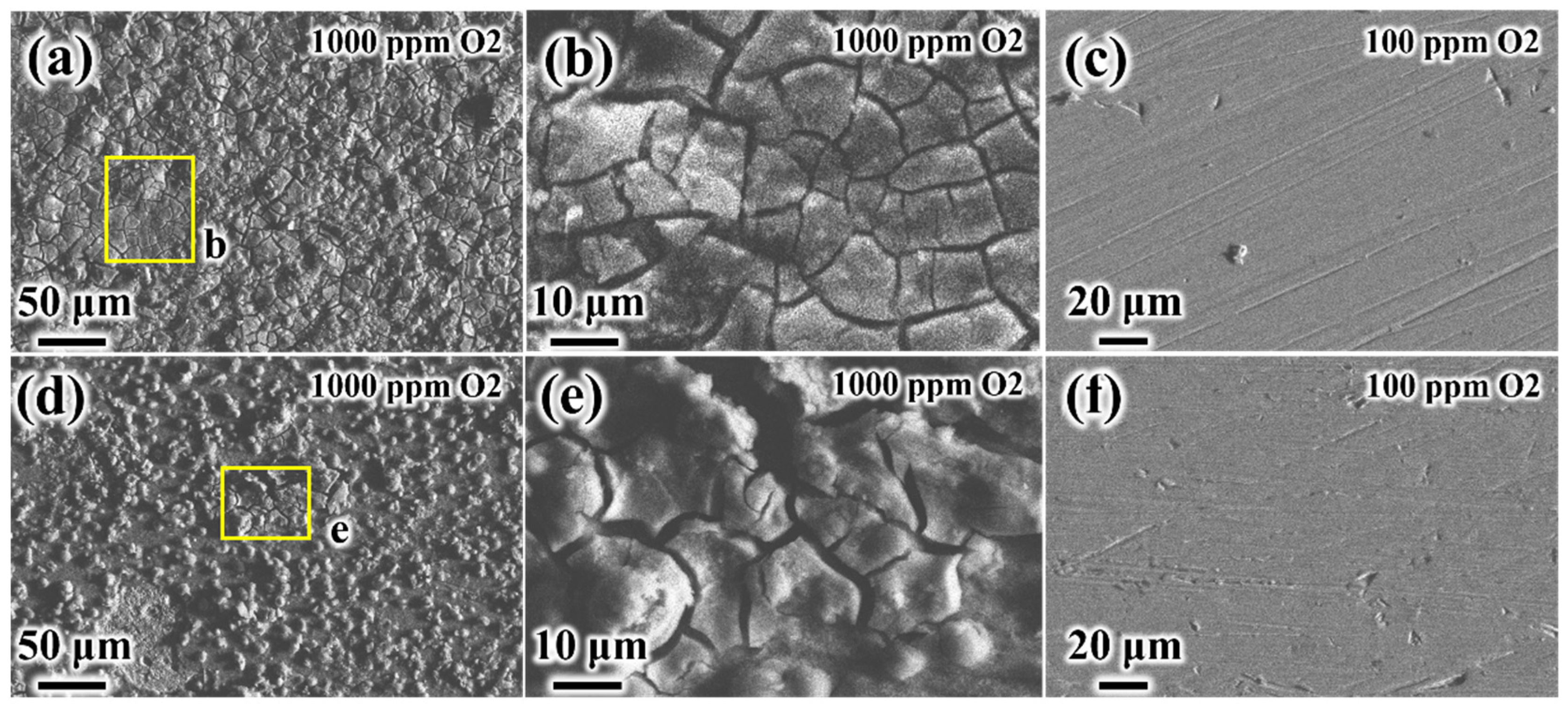 Coatings 15 00944 g008 Coatings 15 00944 g008