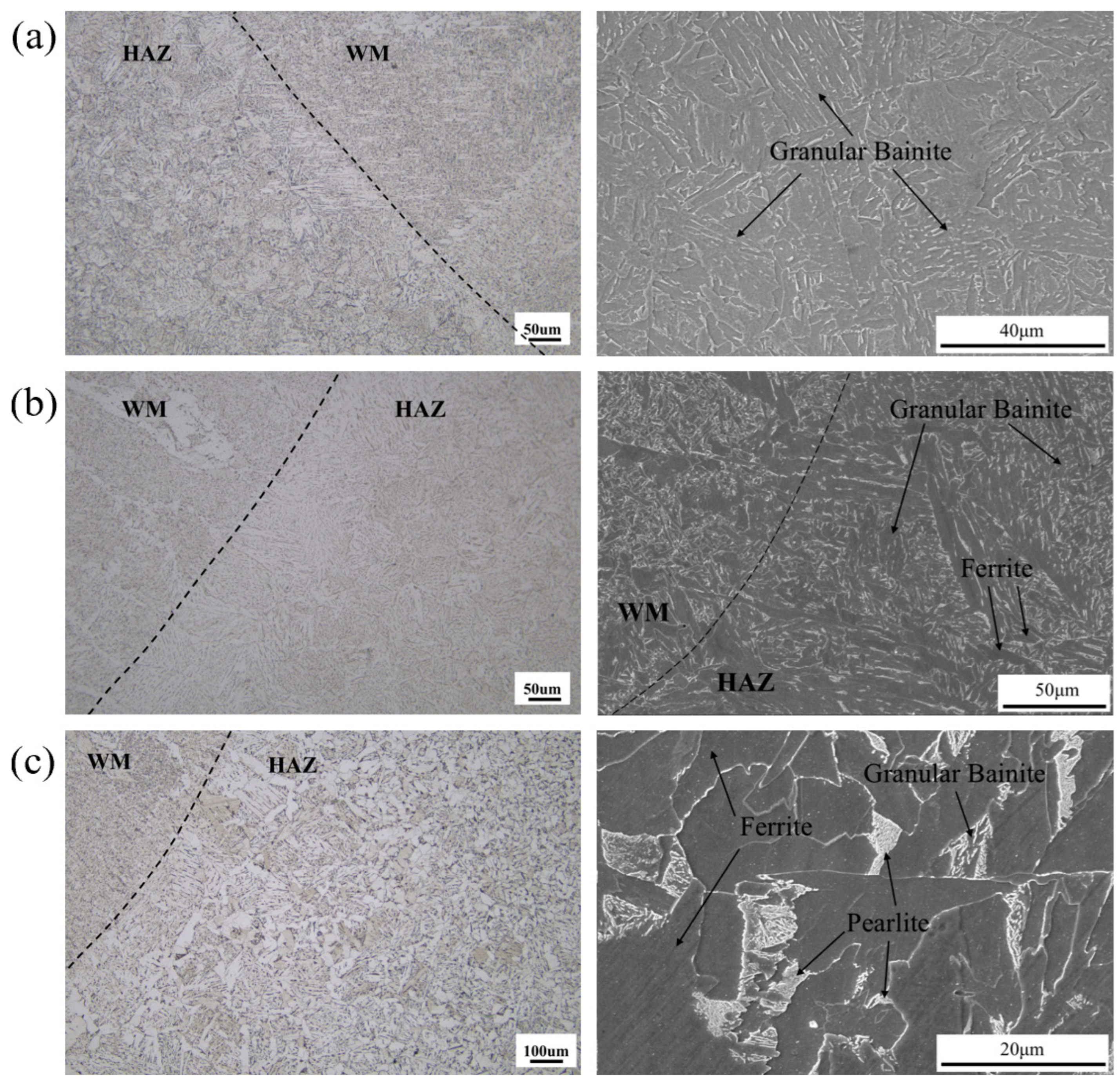 Coatings 15 00957 g003