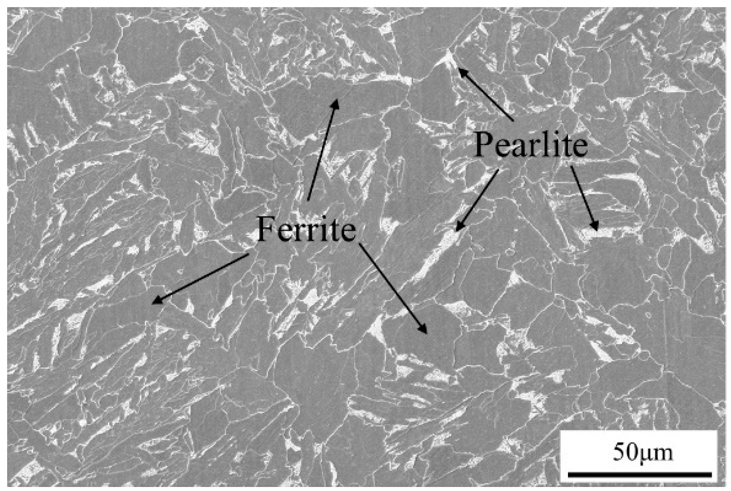 Coatings 15 00957 g004