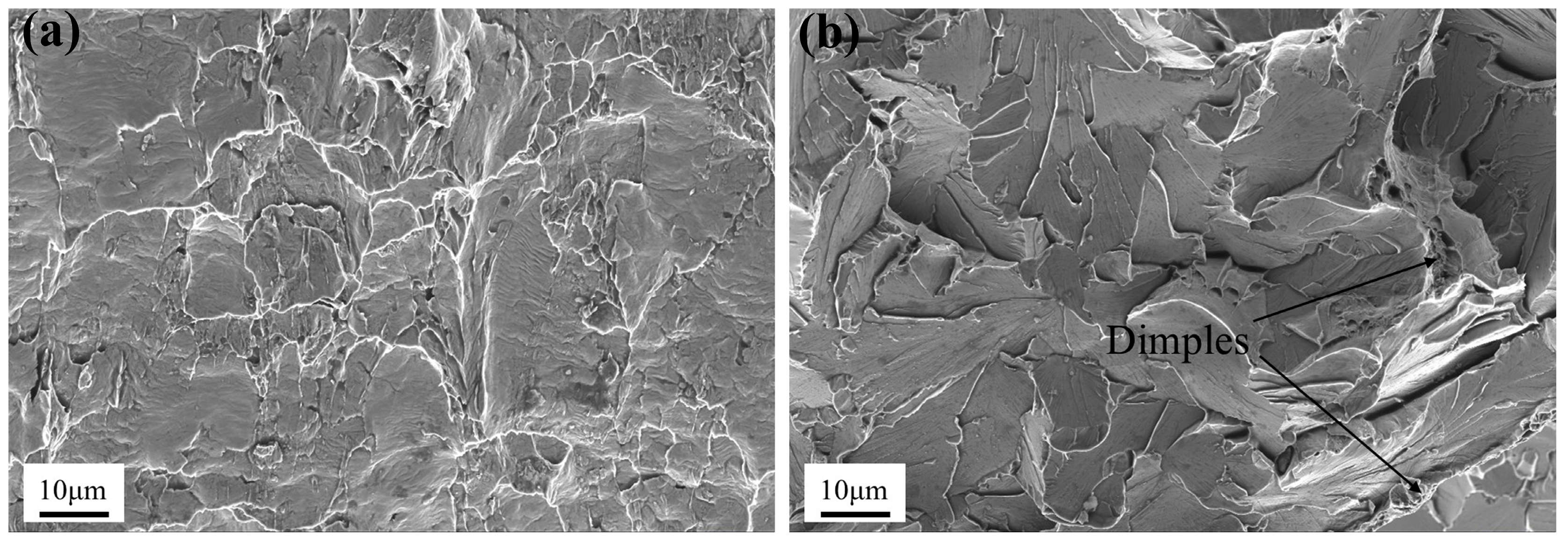 Coatings 15 00957 g006