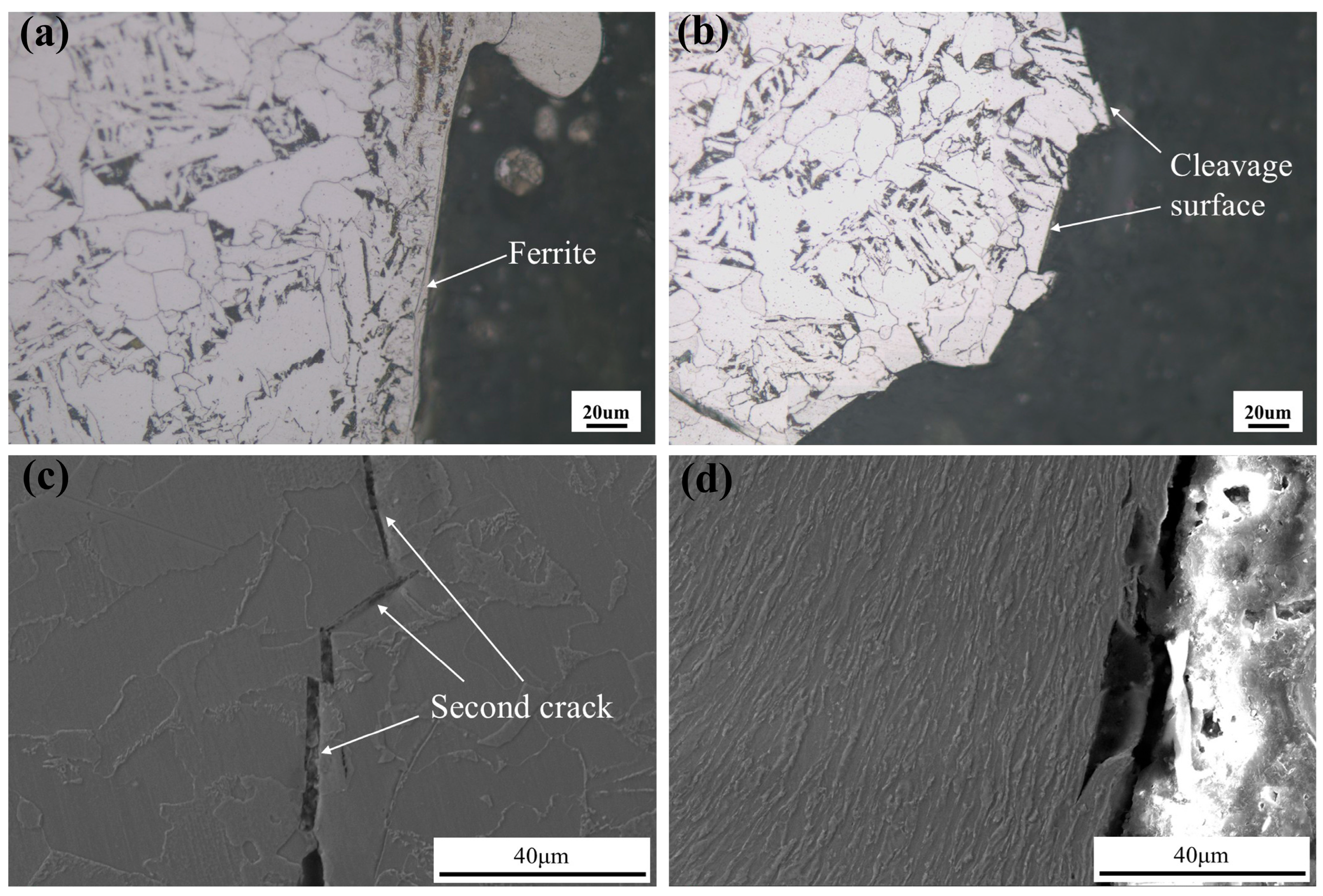 Coatings 15 00957 g007