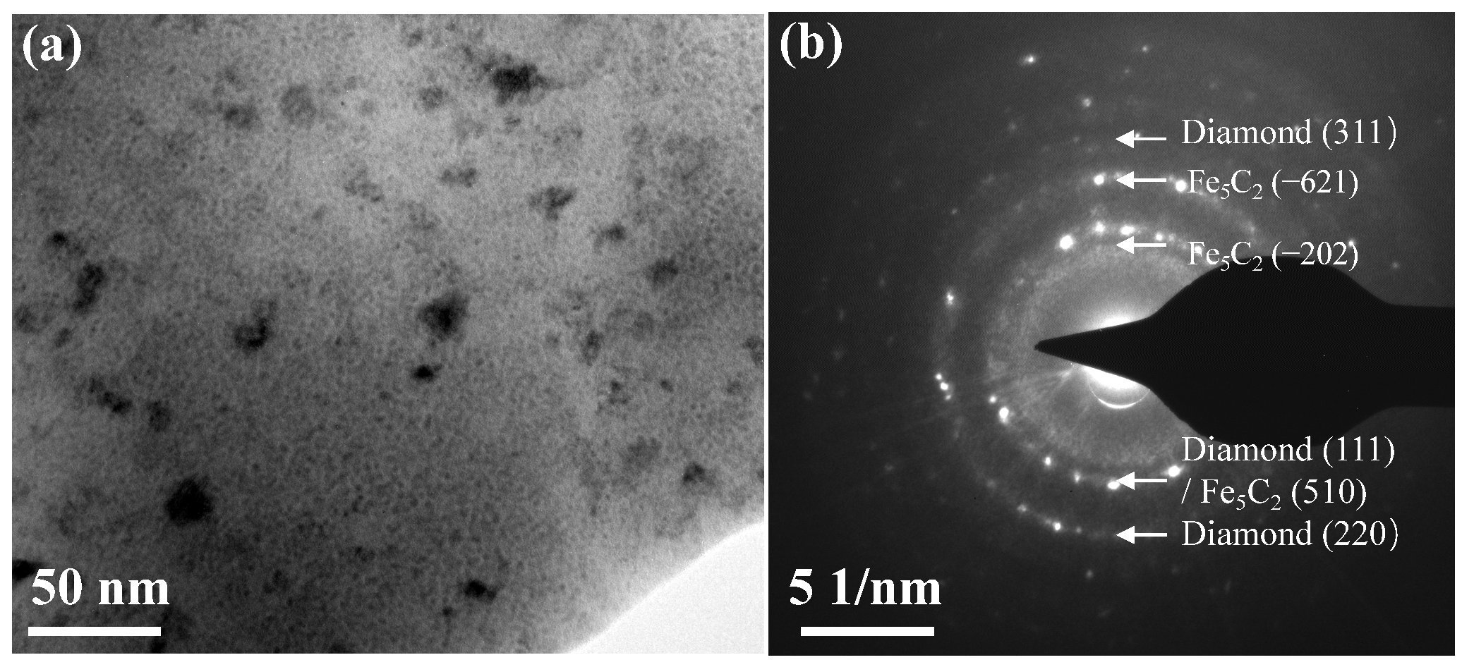 Coatings 15 00966 g003