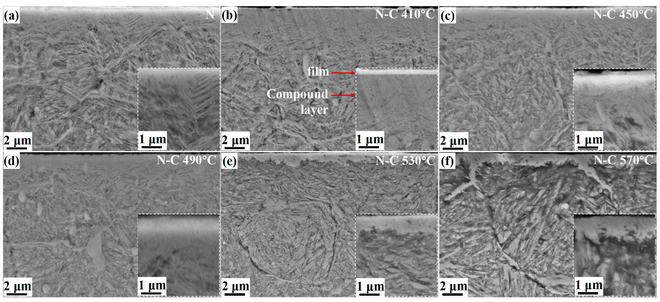 Coatings 15 00966 g005