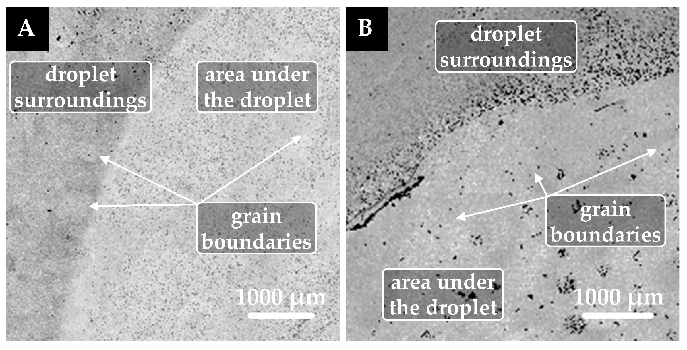 Coatings 15 00967 g003