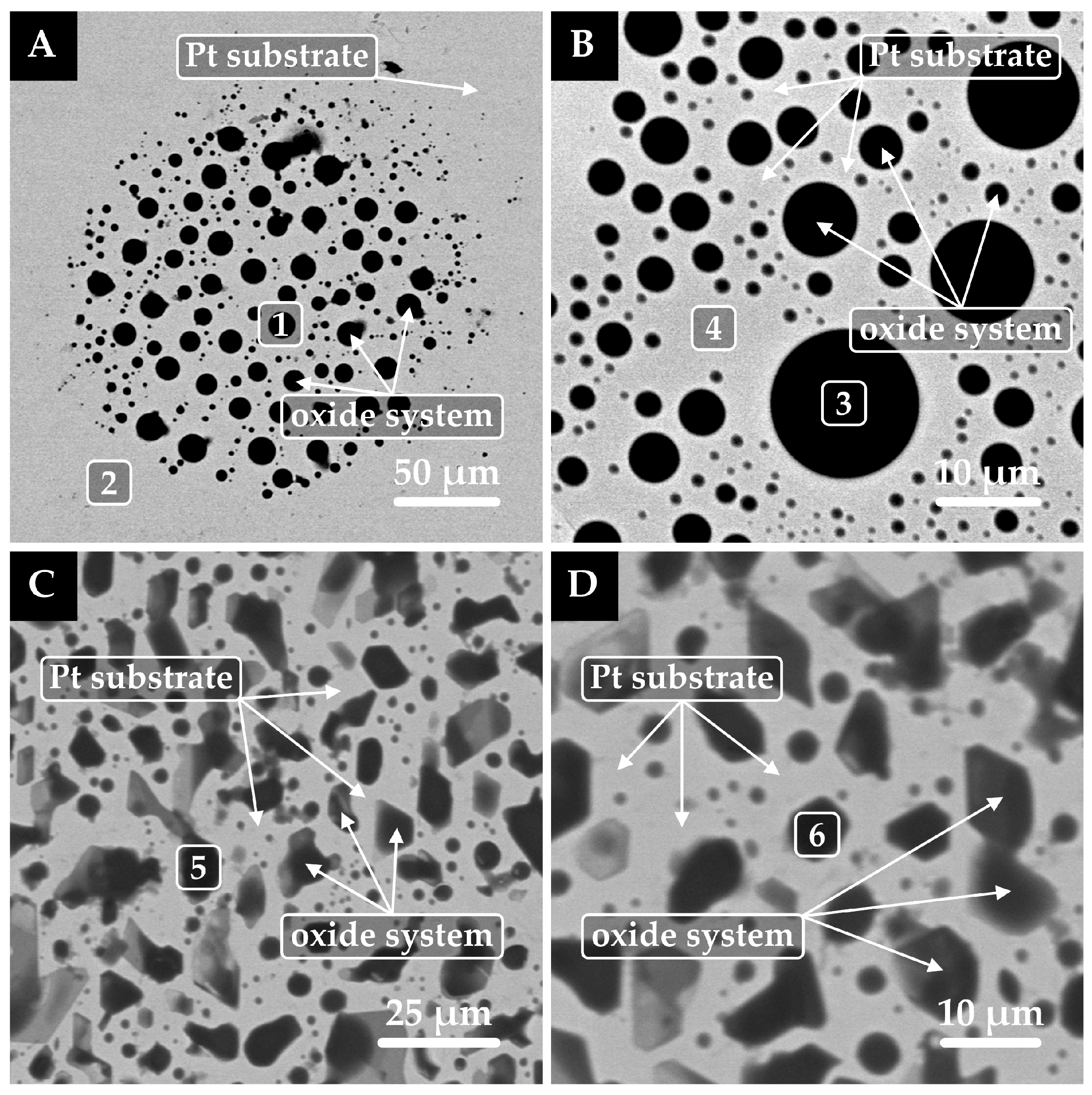 Coatings 15 00967 g004