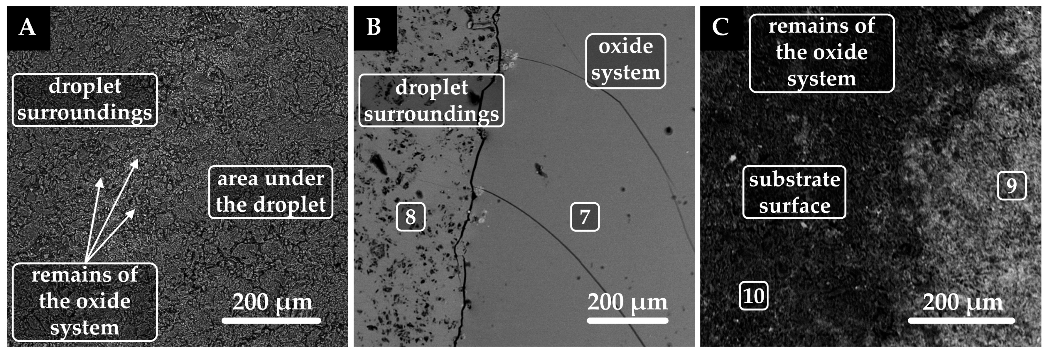 Coatings 15 00967 g005