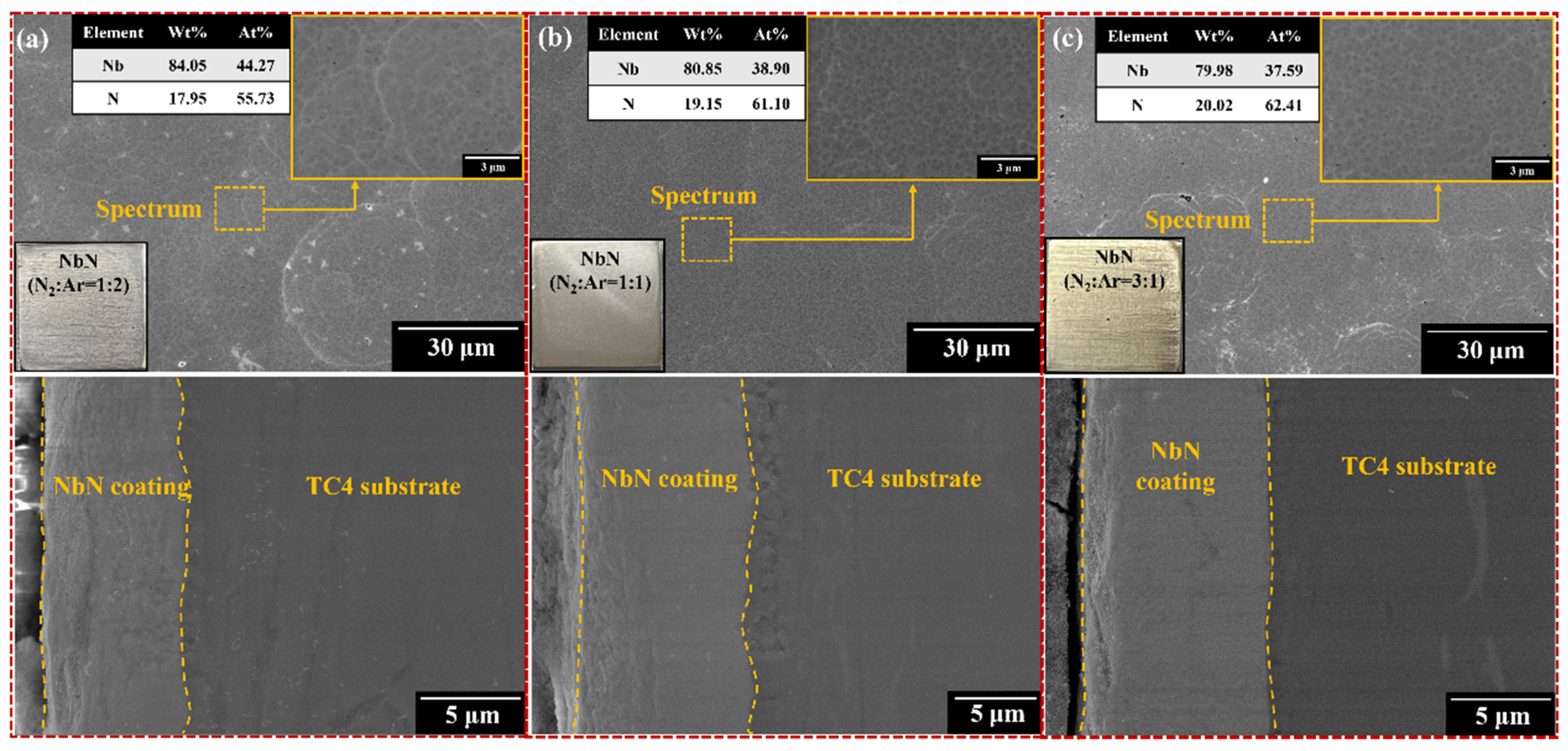 Coatings 15 00973 g001