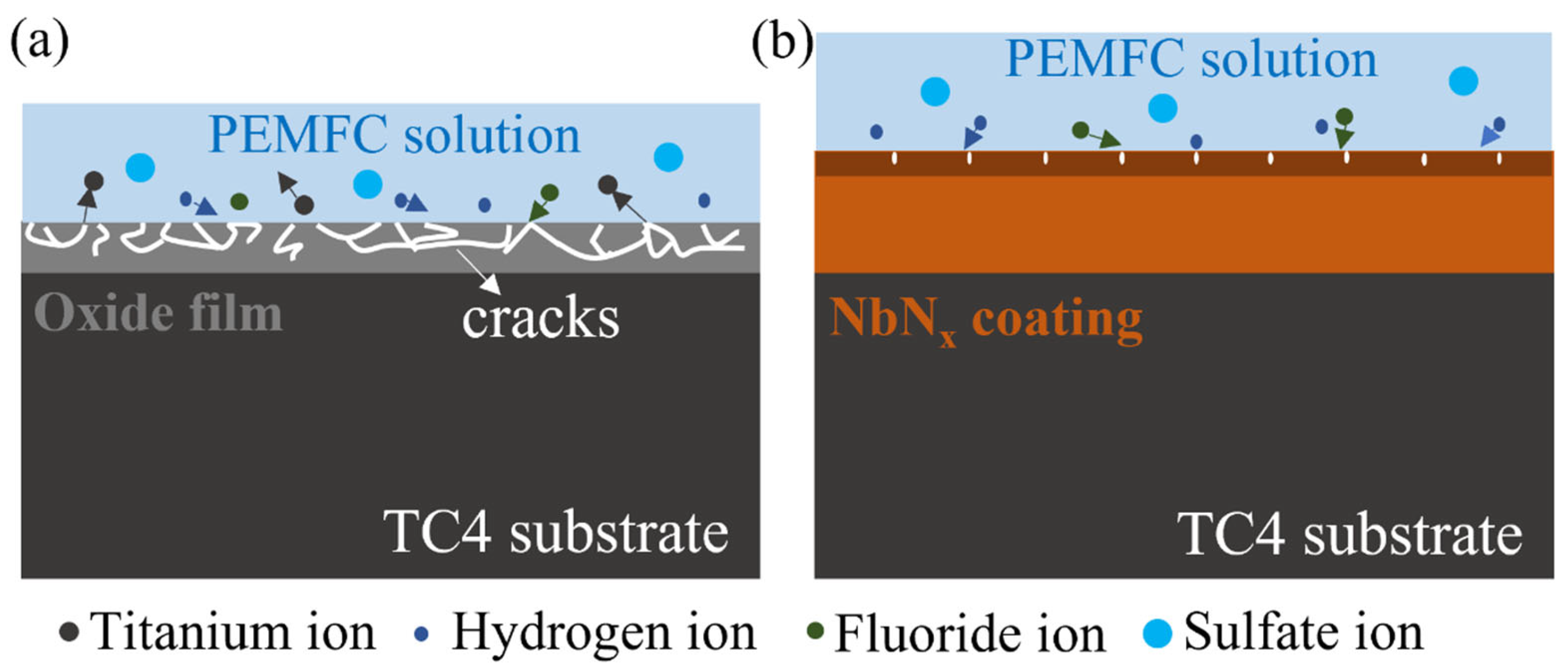 Coatings 15 00973 g011