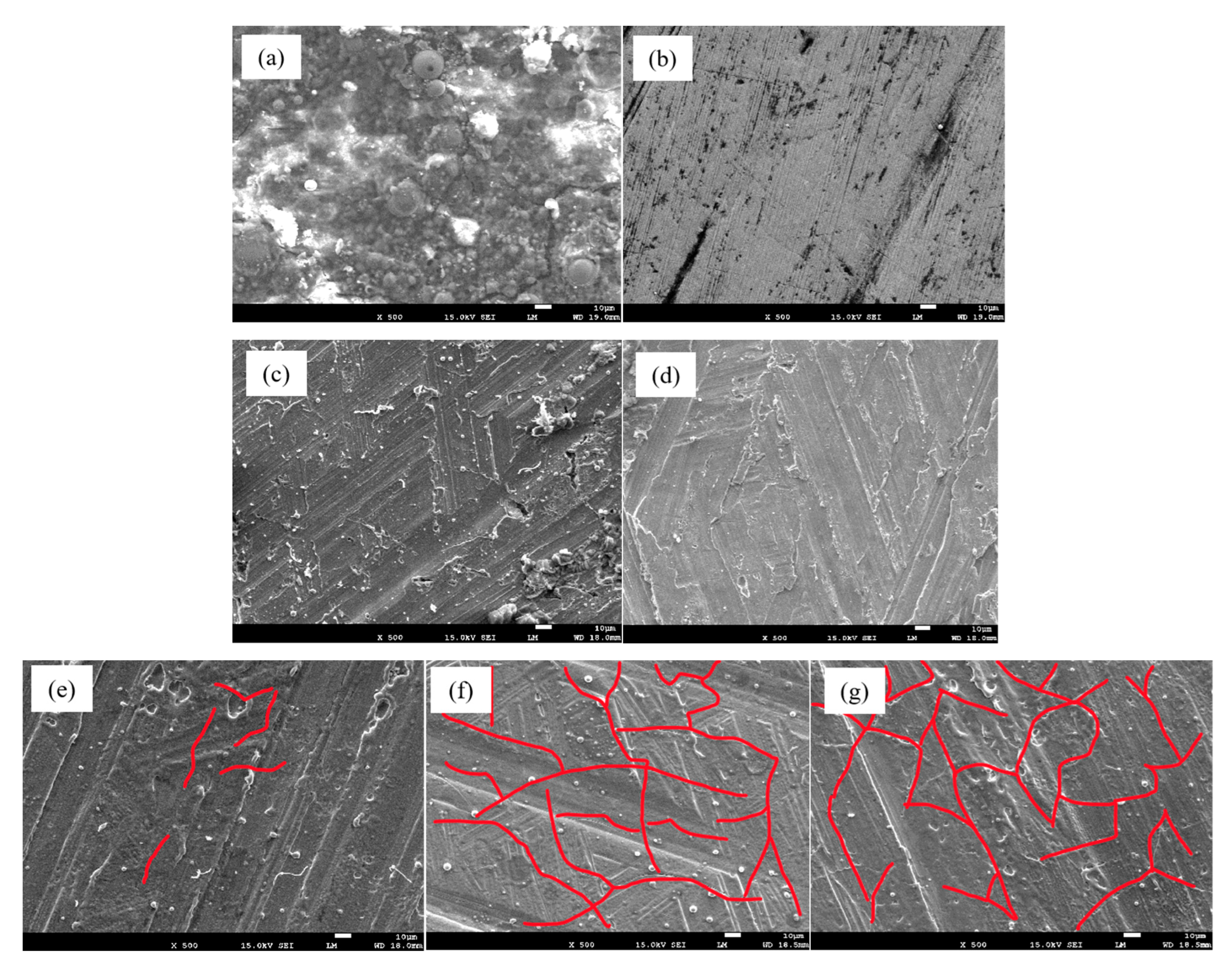 Coatings 15 00978 g012