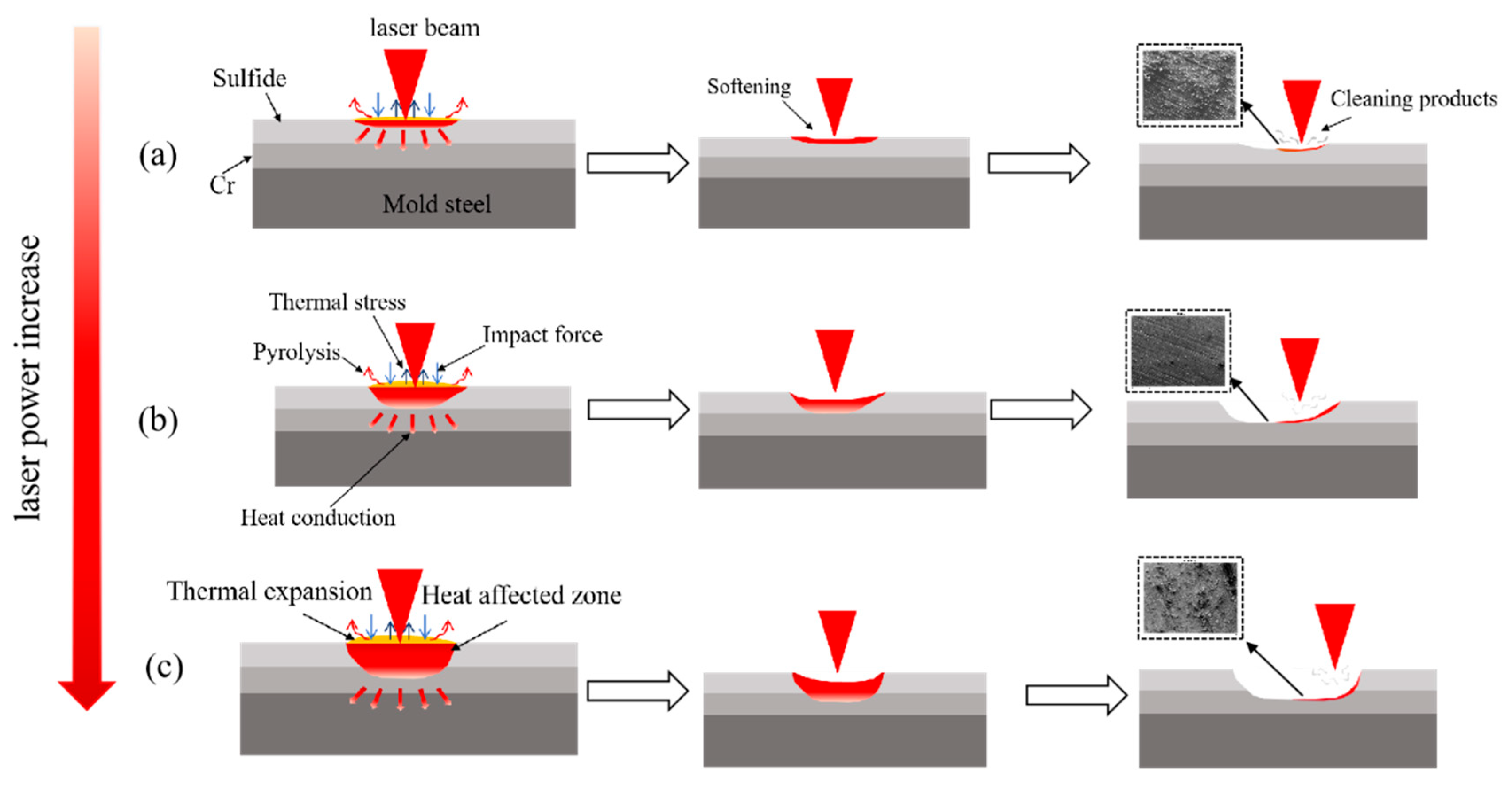 Coatings 15 00978 g017