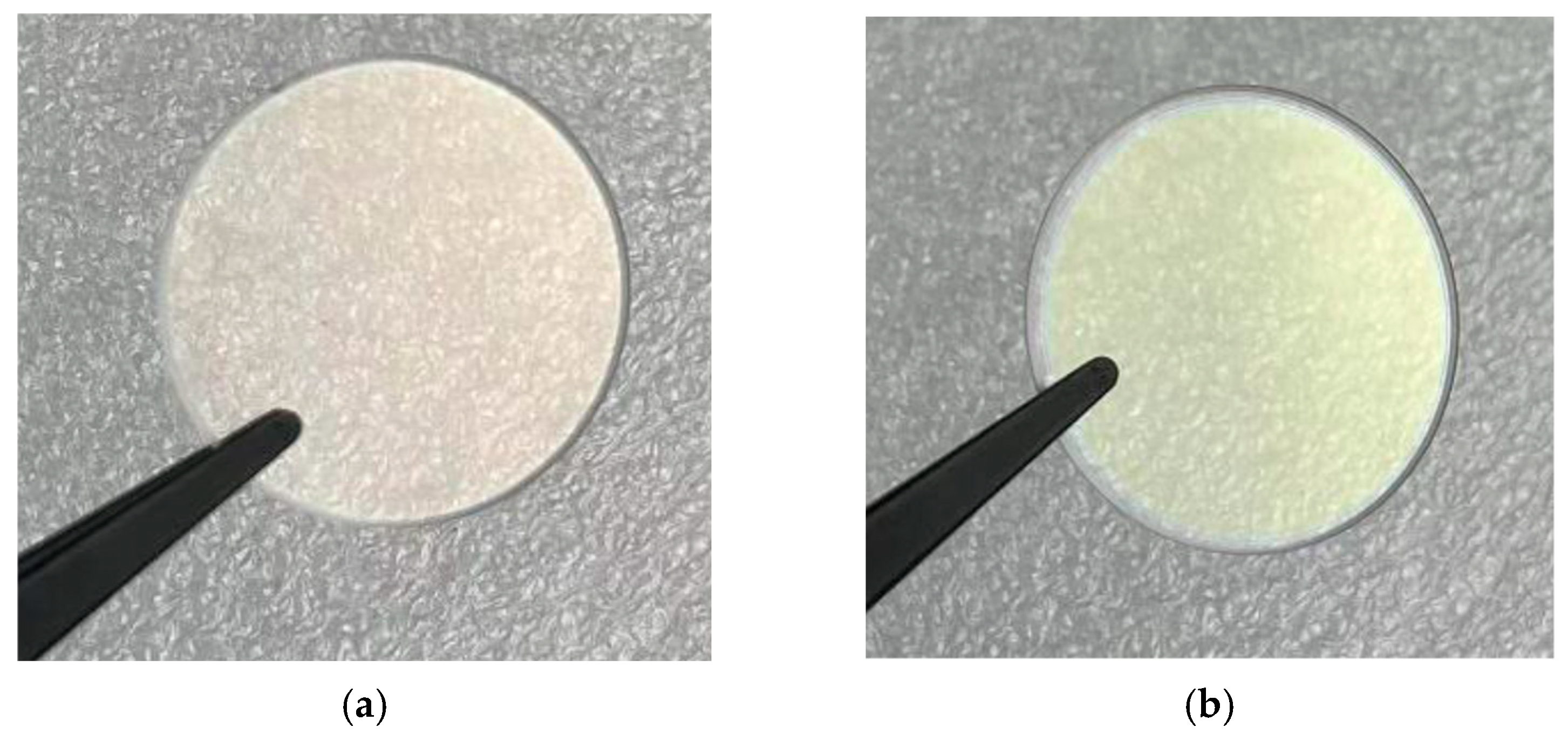 Coatings 15 00980 g004 Coatings 15 00980 g004