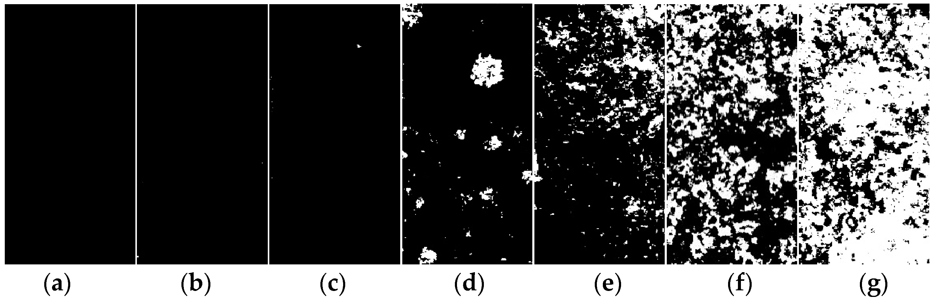 Coatings 15 00981 g003