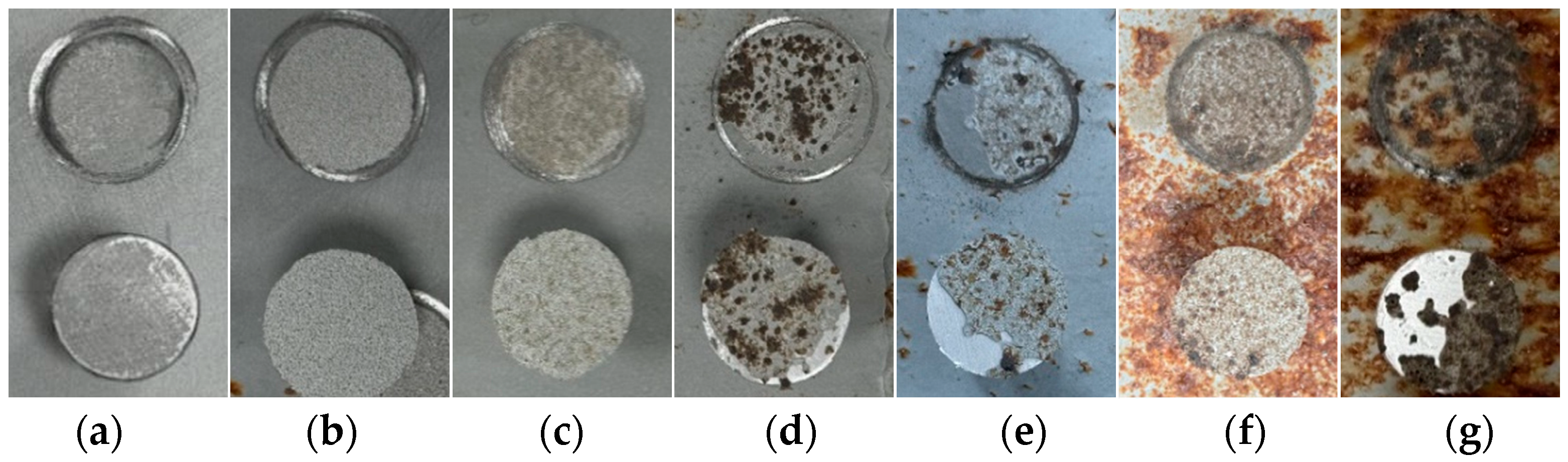 Coatings 15 00981 g007