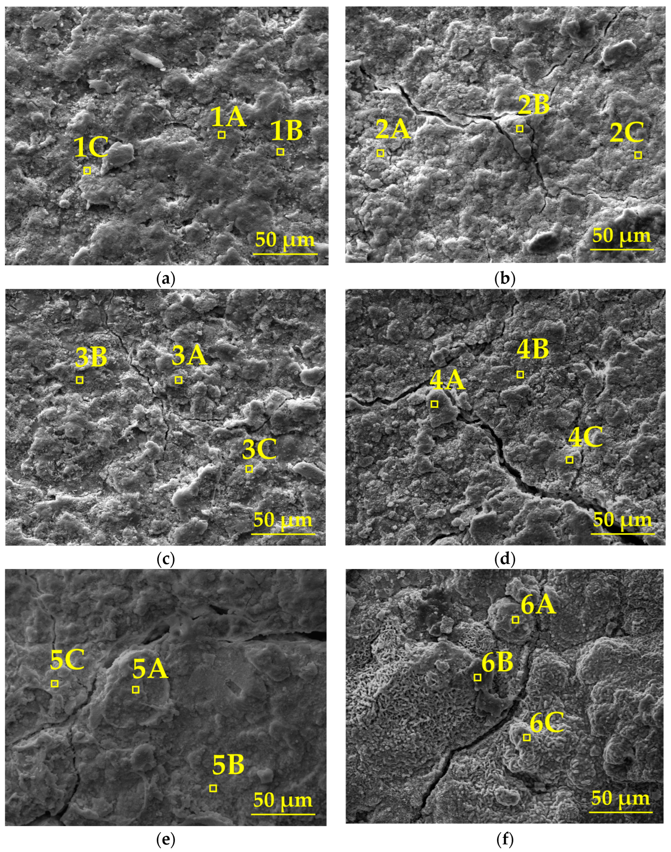 Coatings 15 00981 g008