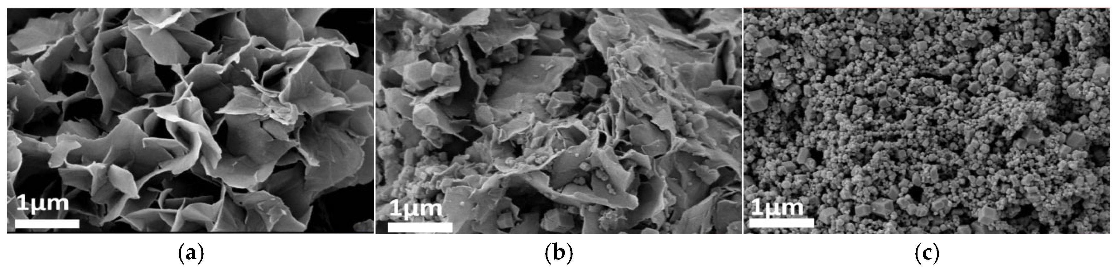 Coatings 15 00987 g007