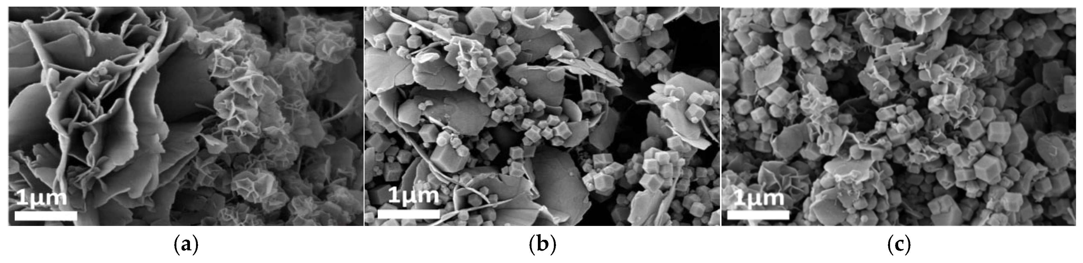 Coatings 15 00987 g009