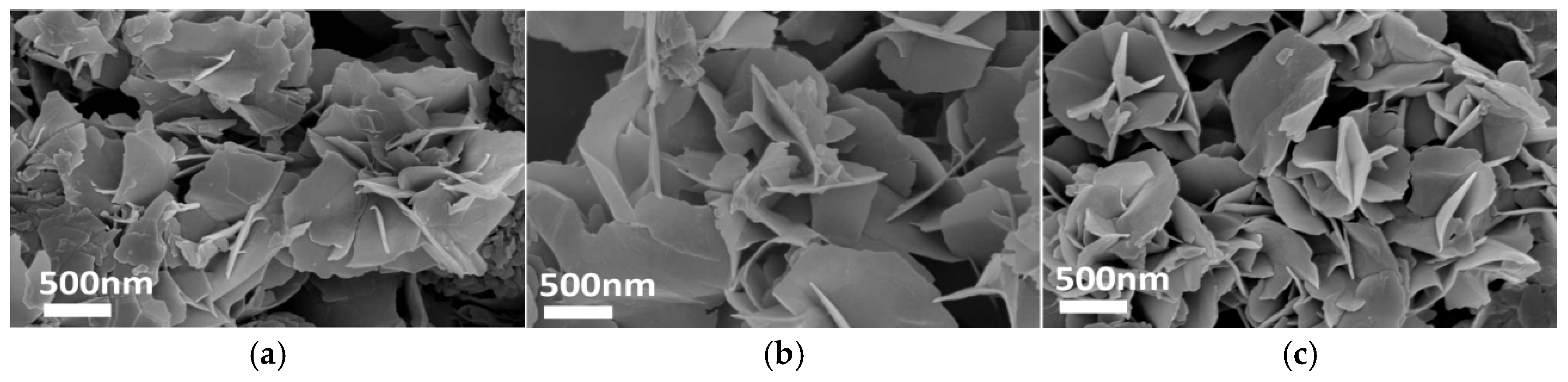 Coatings 15 00987 g010