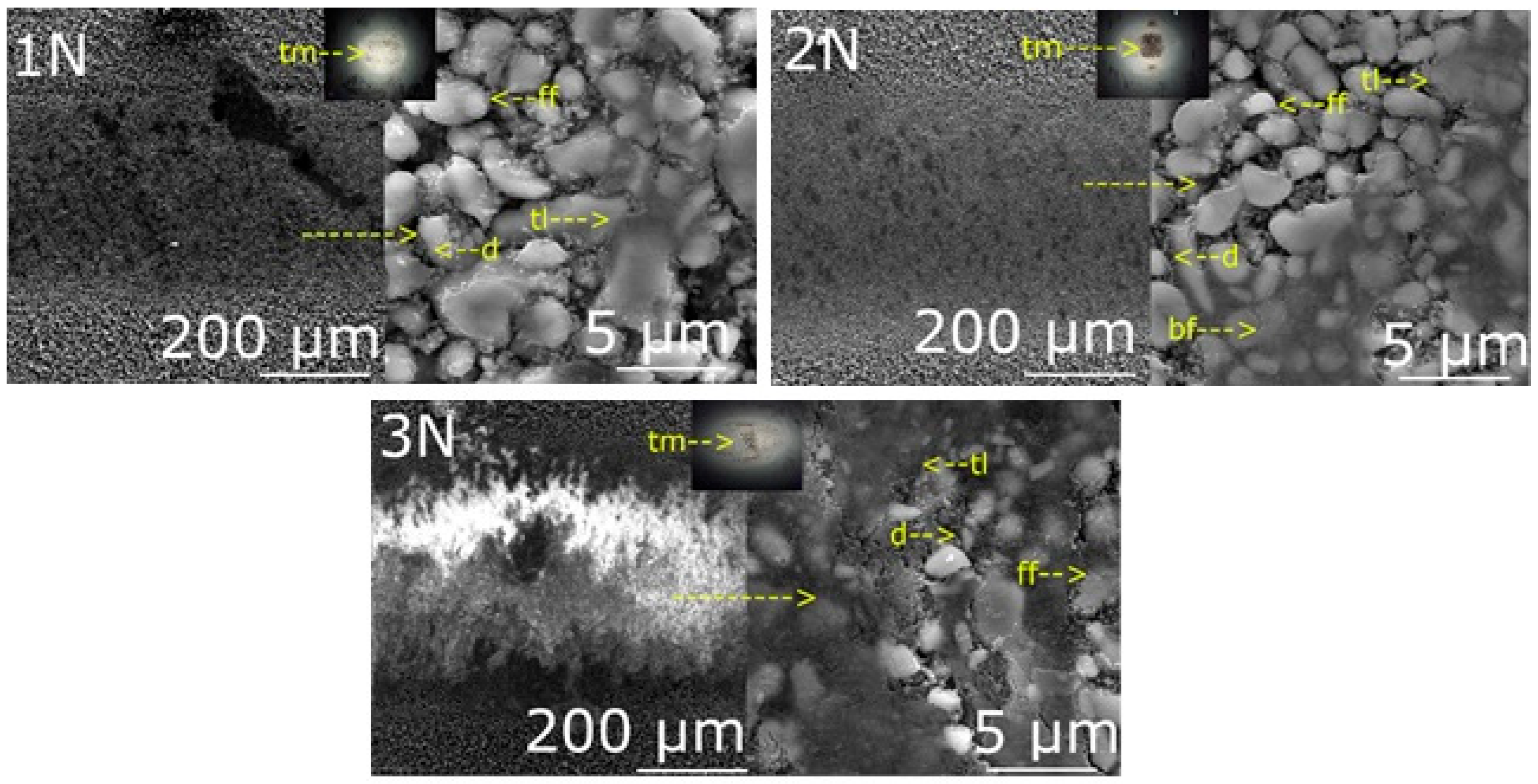 Coatings 15 00995 g003 Coatings 15 00995 g003