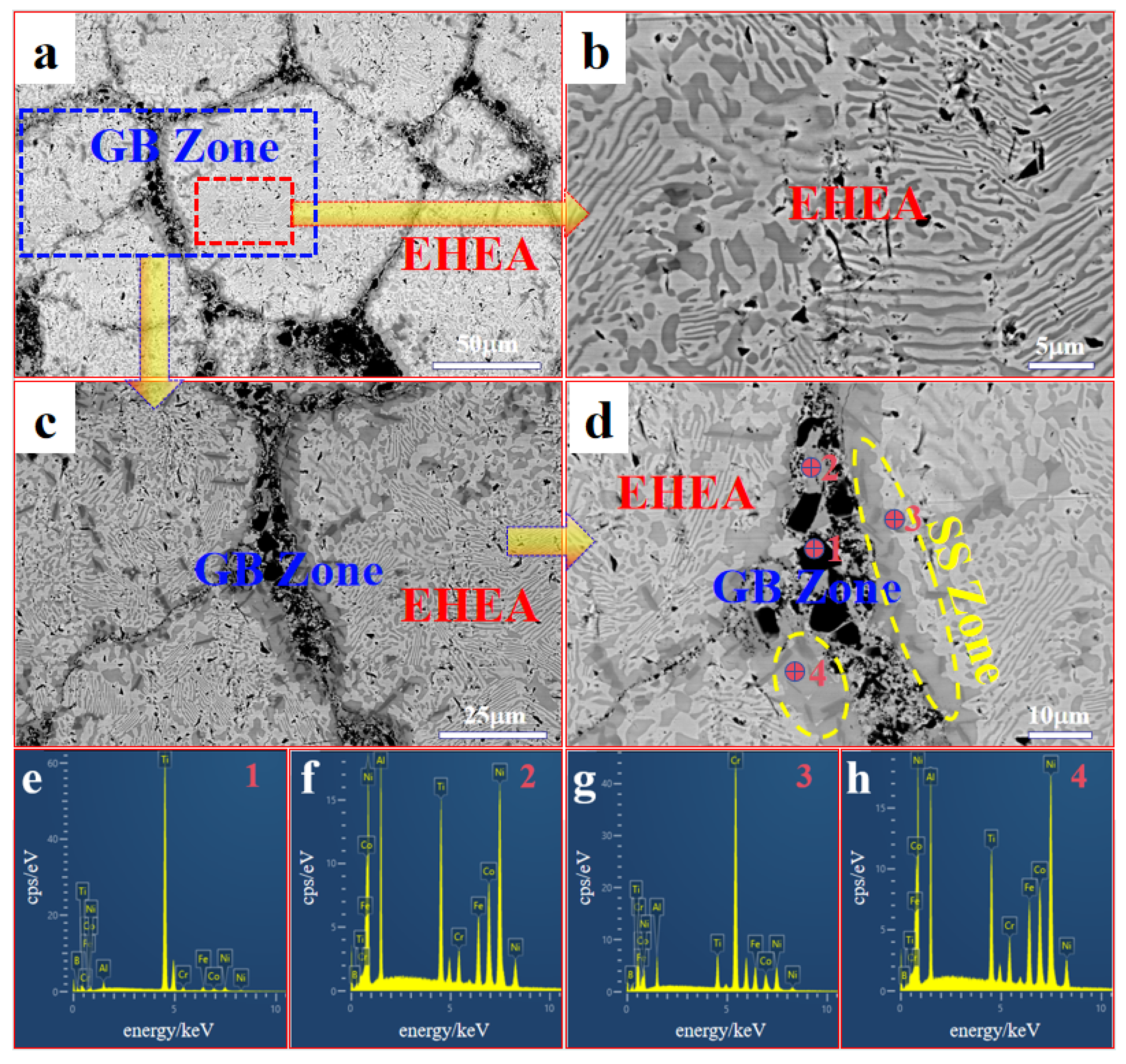 Coatings 15 01002 g002 Coatings 15 01002 g002