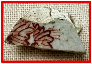 Coatings 15 01007 i004