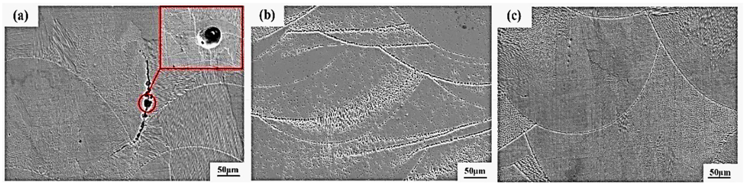 Coatings 15 01015 g011