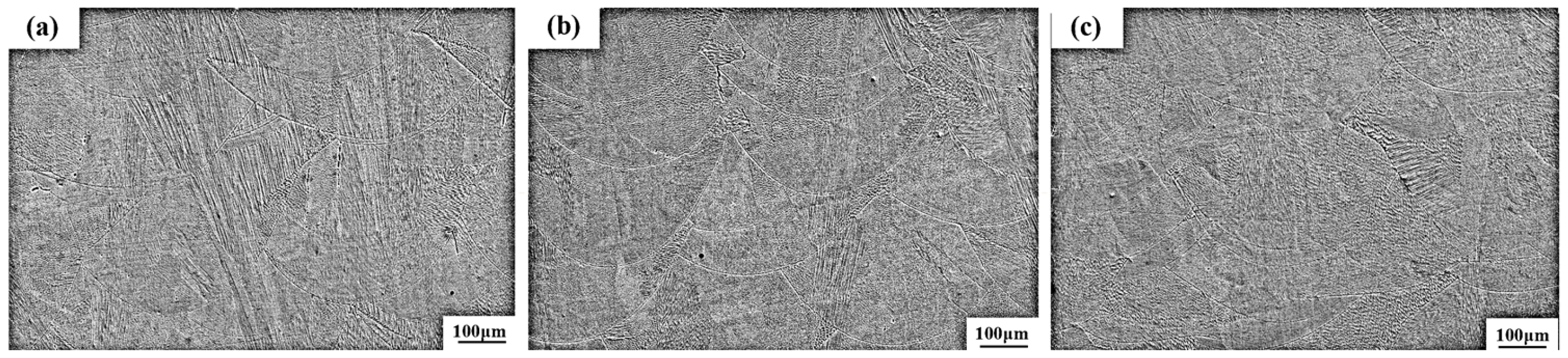 Coatings 15 01015 g012