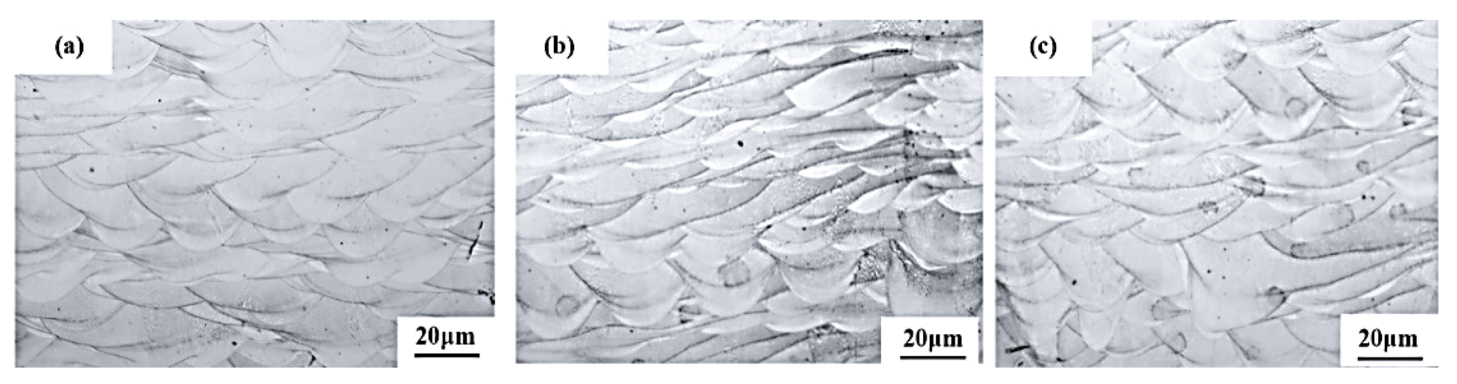 Coatings 15 01015 g013