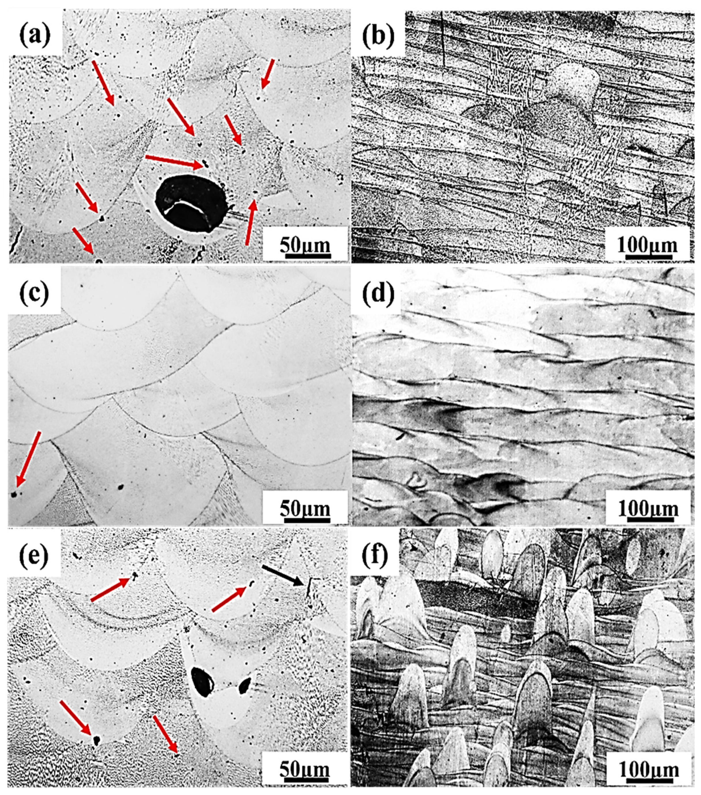 Coatings 15 01015 g015
