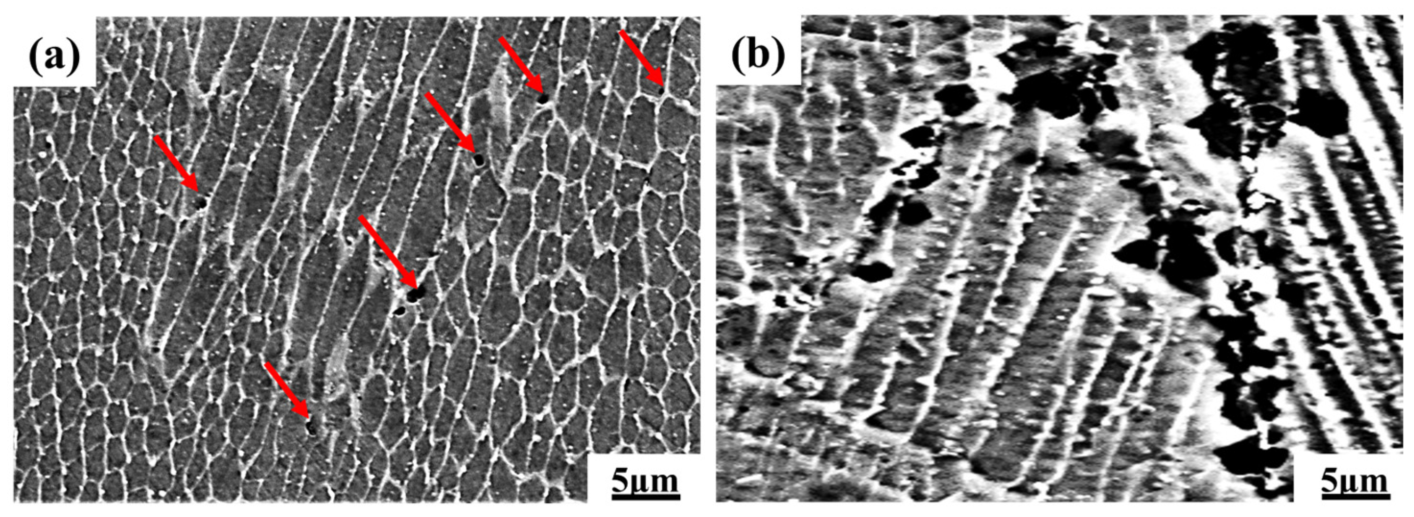 Coatings 15 01015 g016