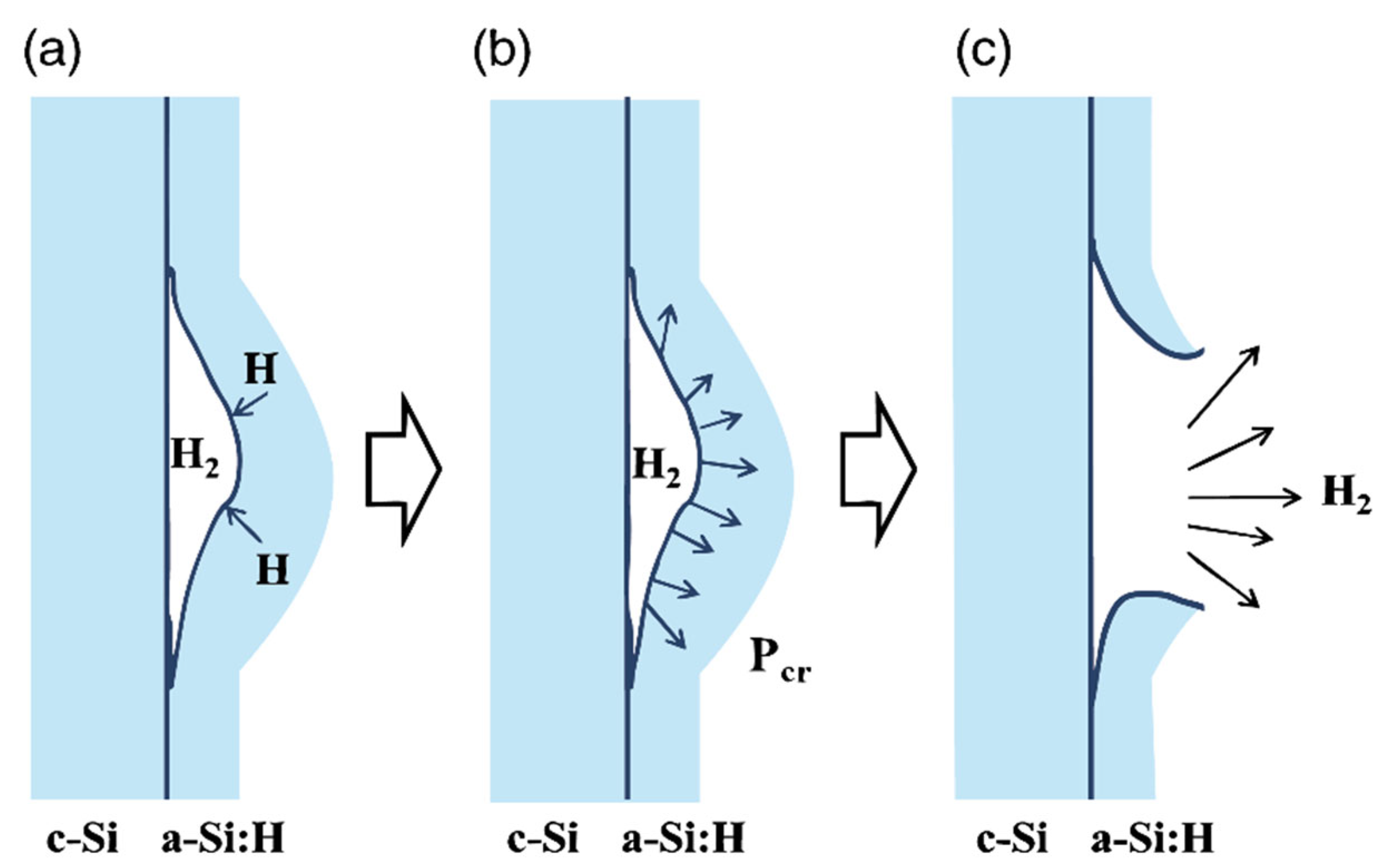 Coatings 15 01016 g002