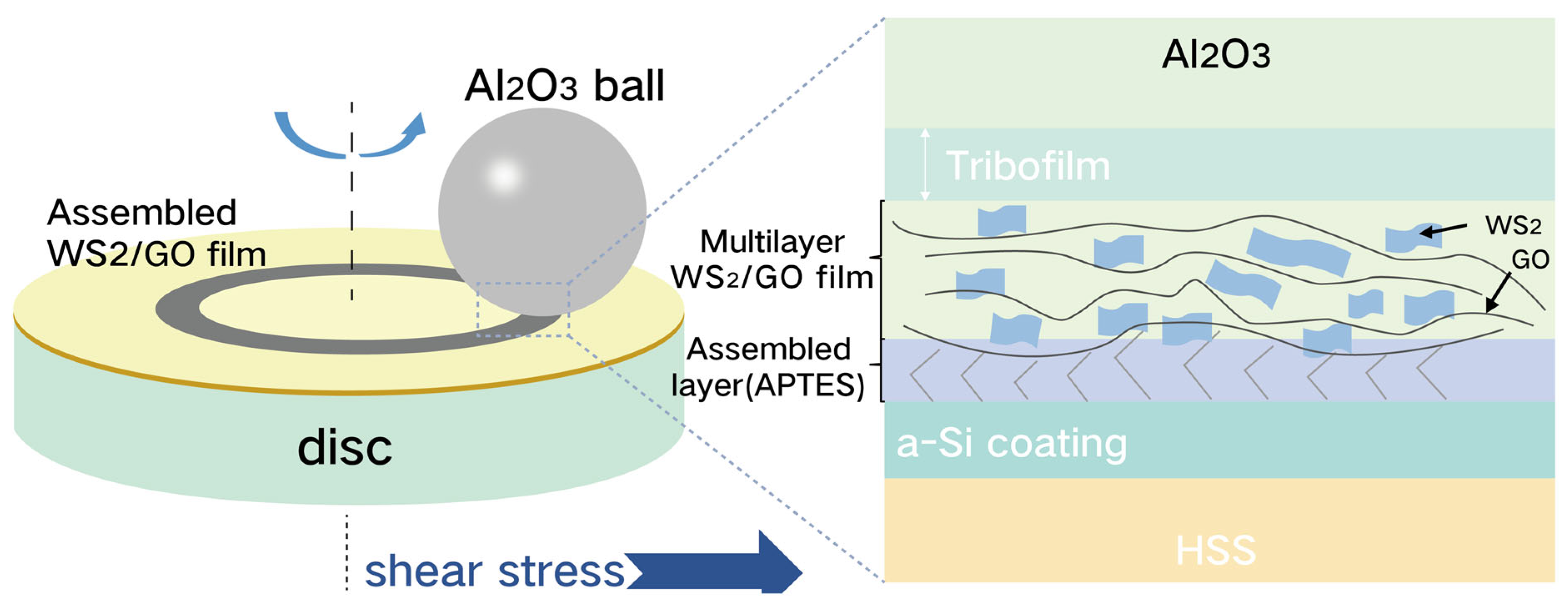 Coatings 15 01016 g007