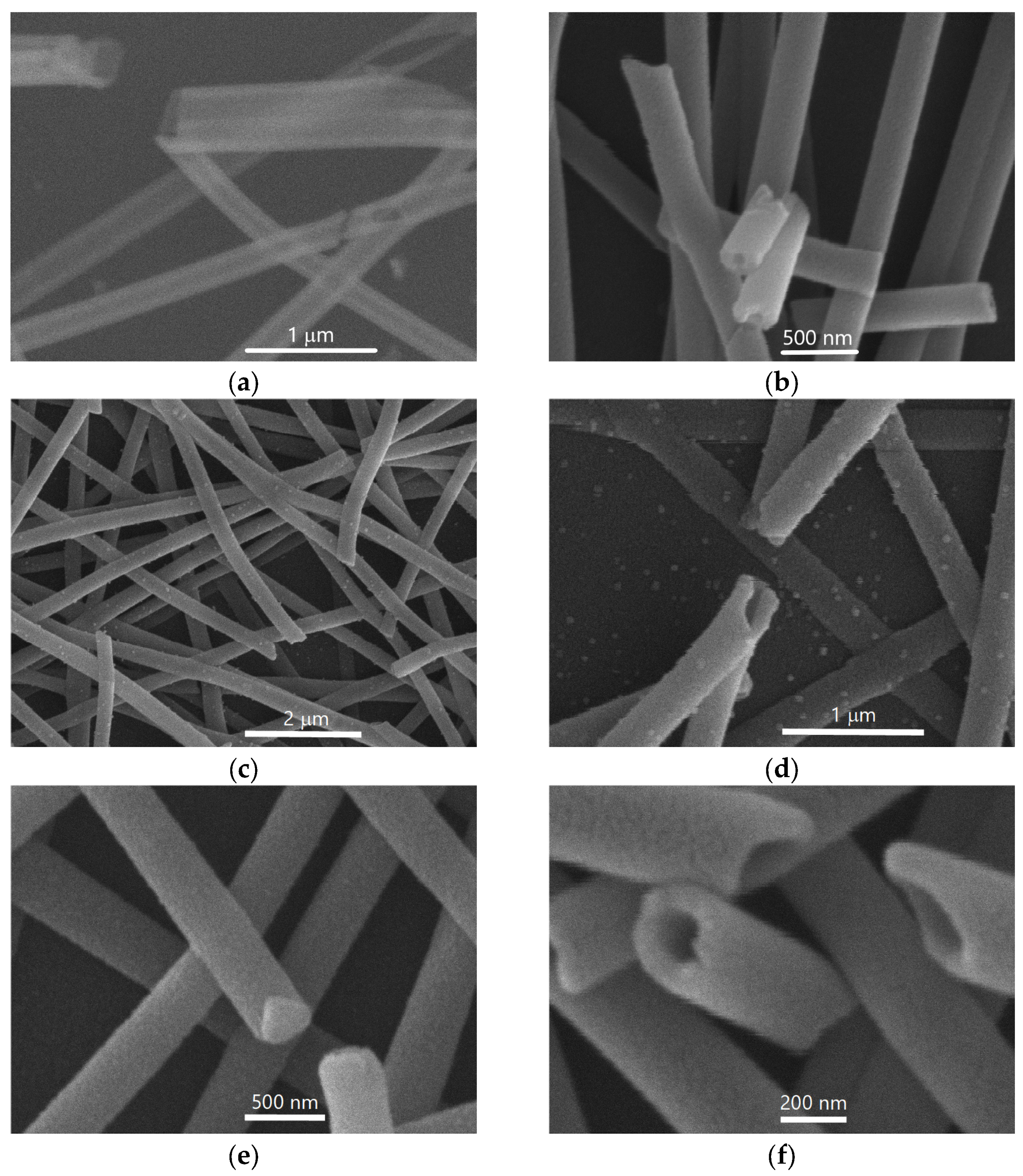 Coatings 15 01022 g003