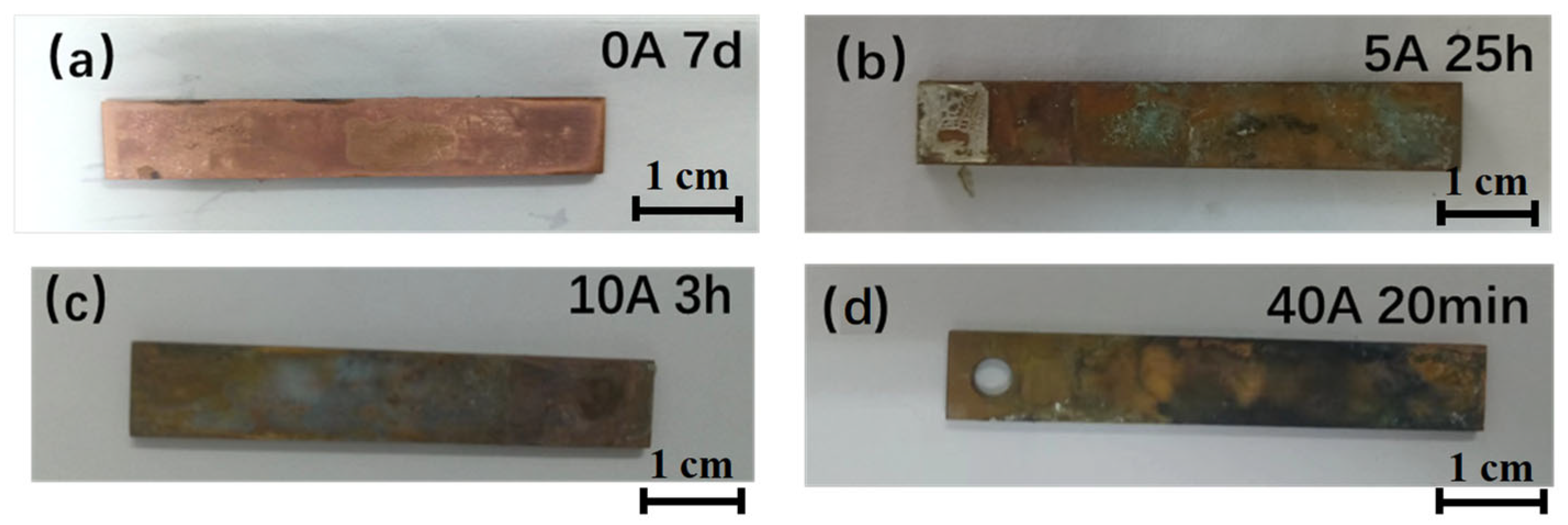Coatings 15 01036 g001