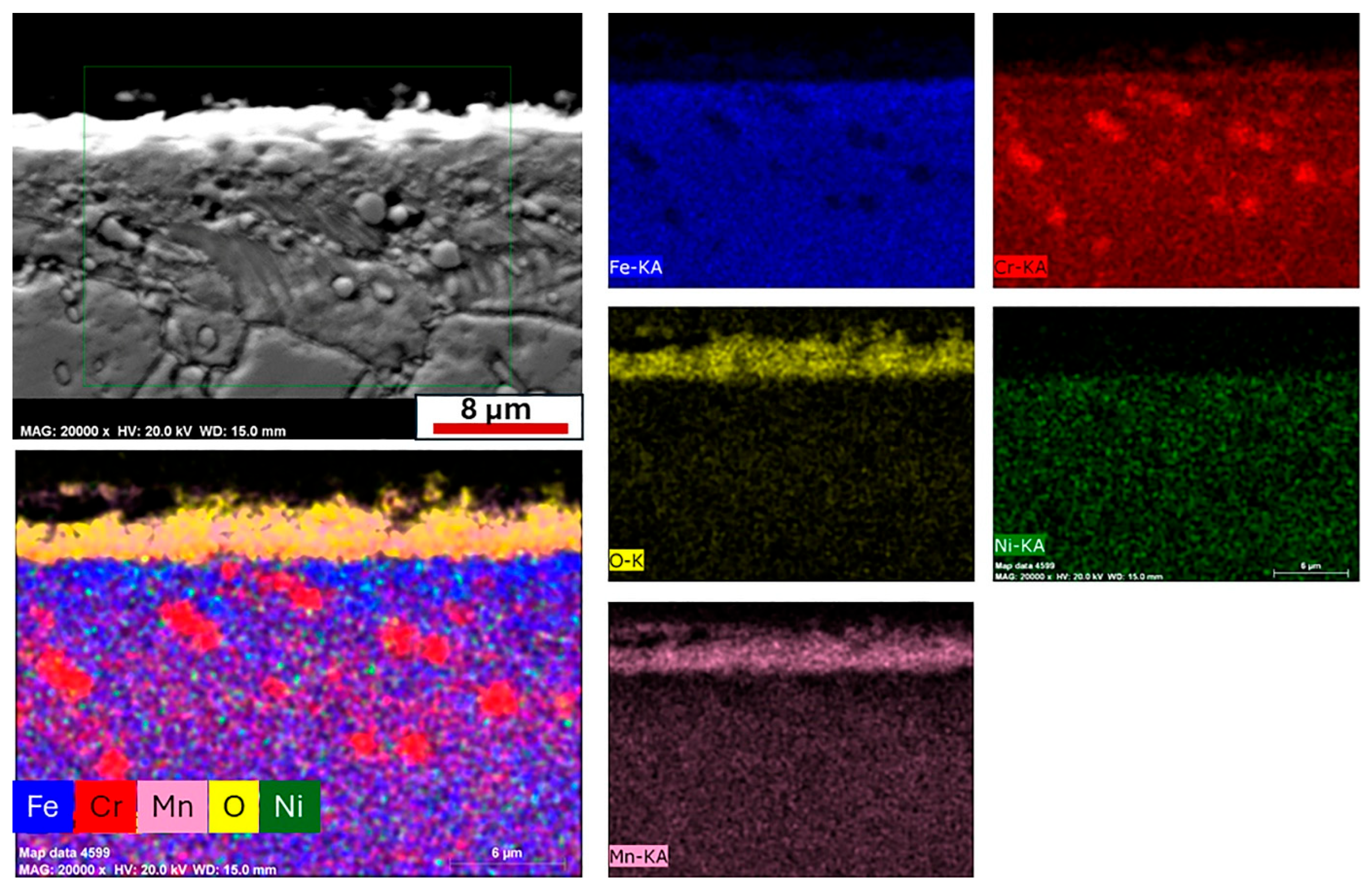 Coatings 15 01039 g010 Coatings 15 01039 g010