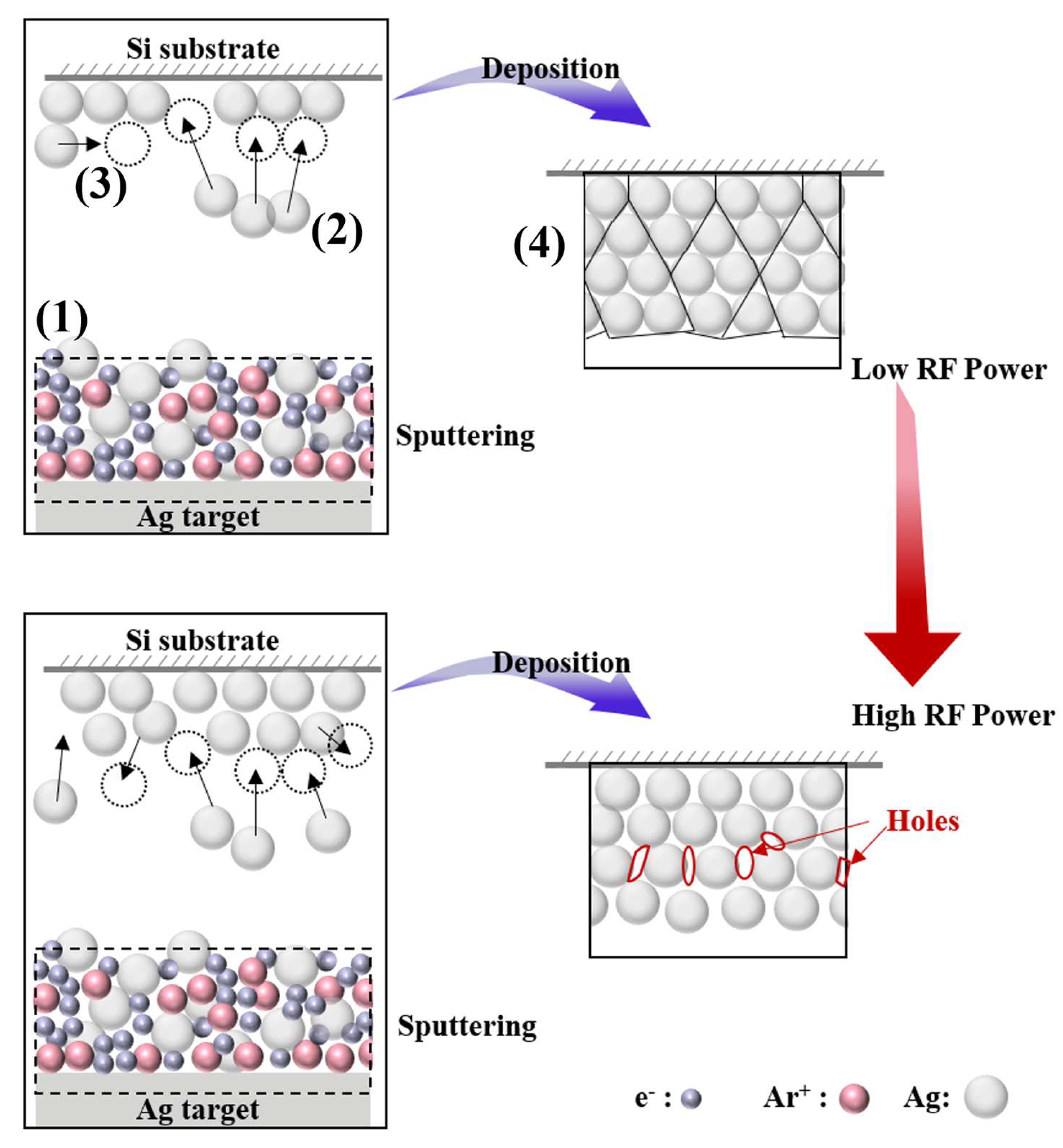 Coatings 15 01062 g010