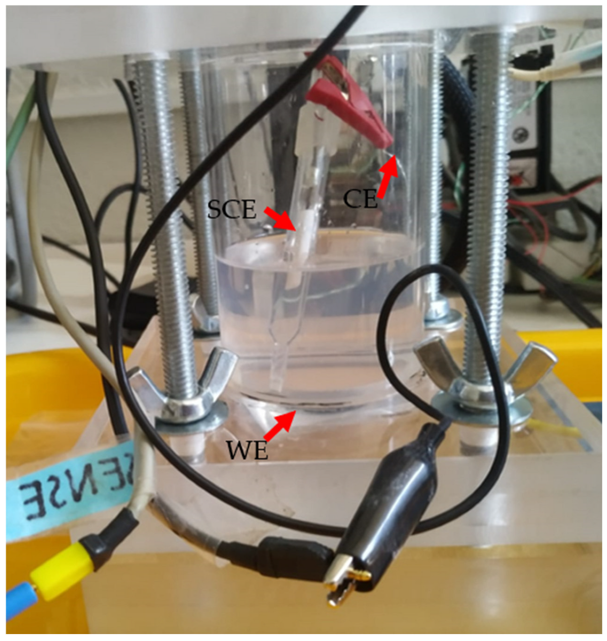 Coatings 15 01064 g001