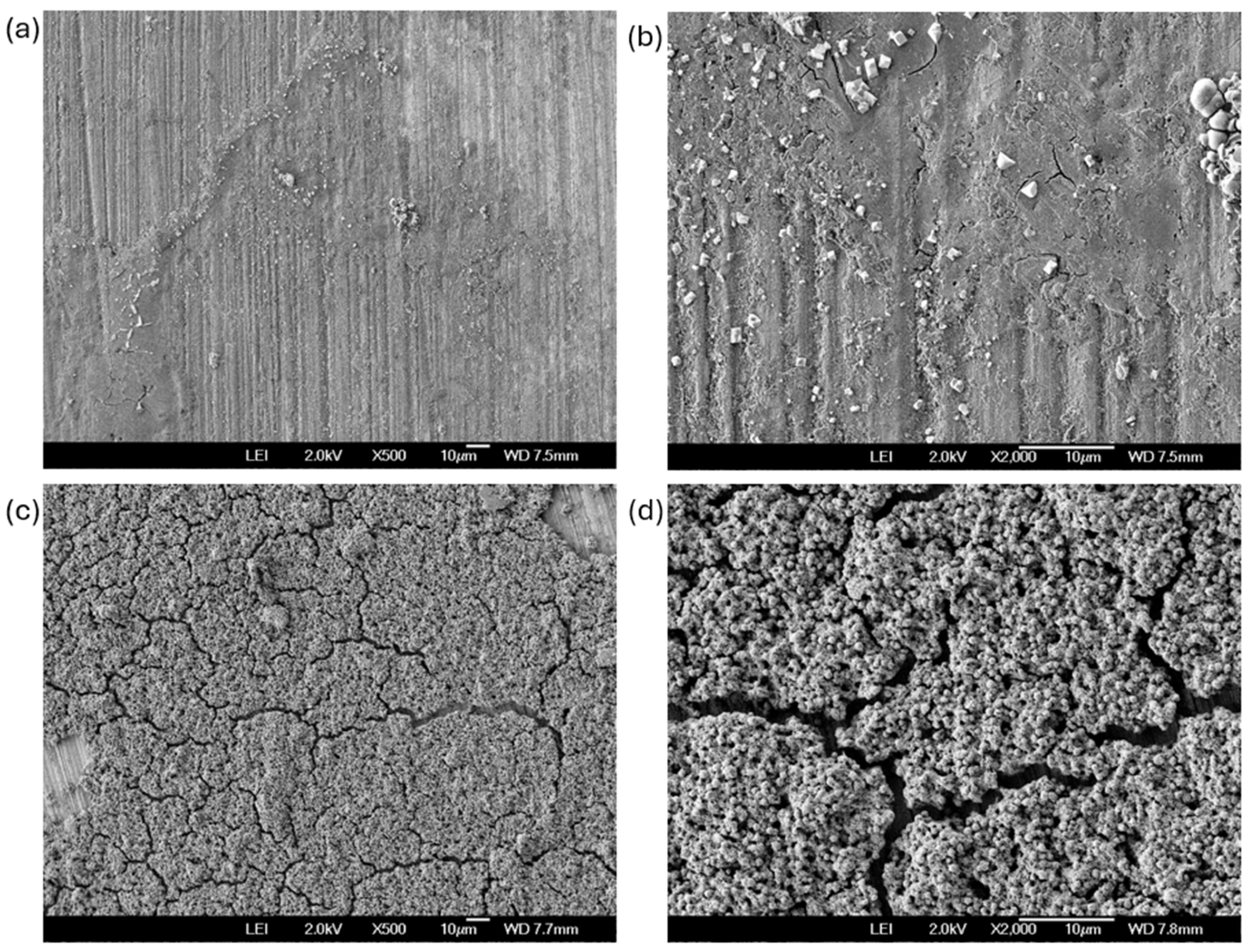 Coatings 15 01064 g008