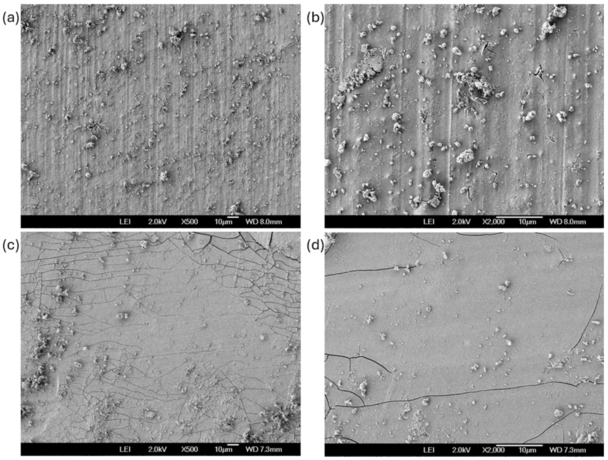 Coatings 15 01064 g009