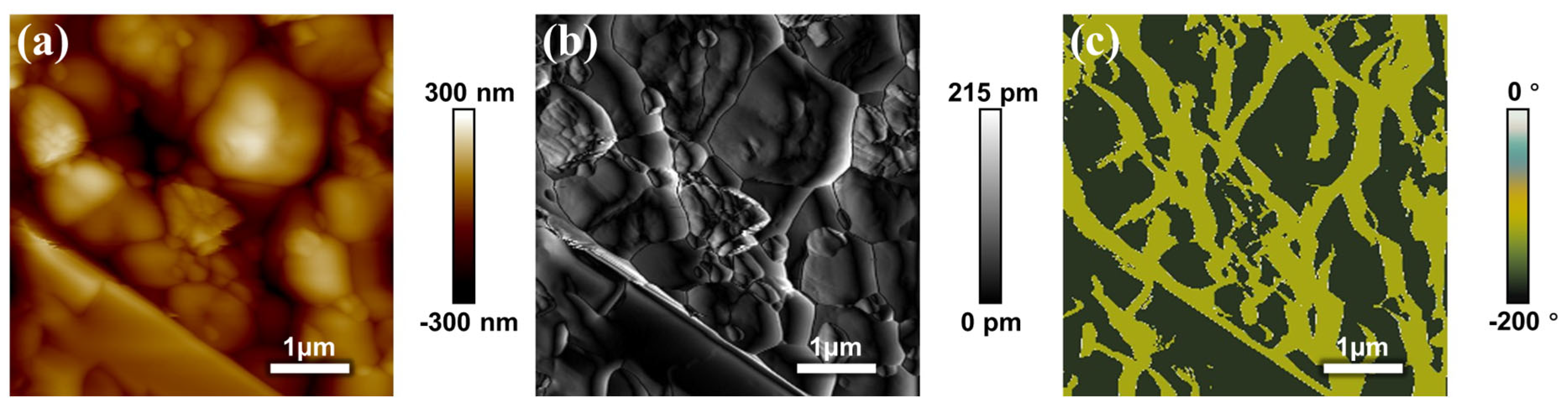Coatings 15 01067 g009