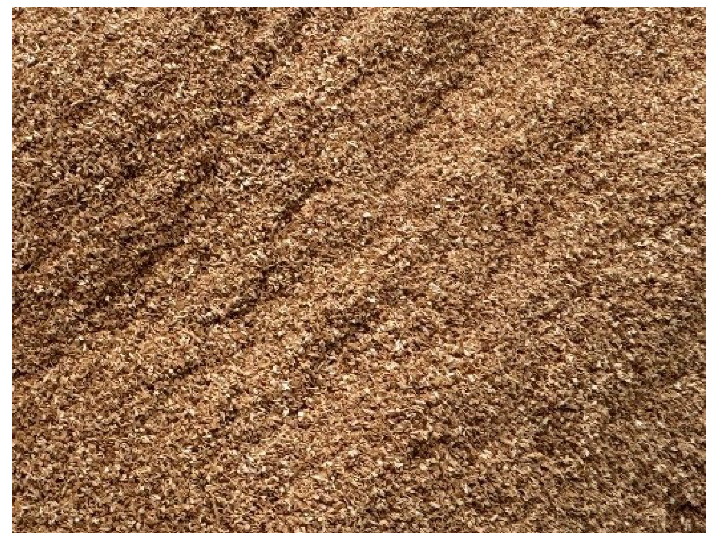 Coatings 15 01094 g002