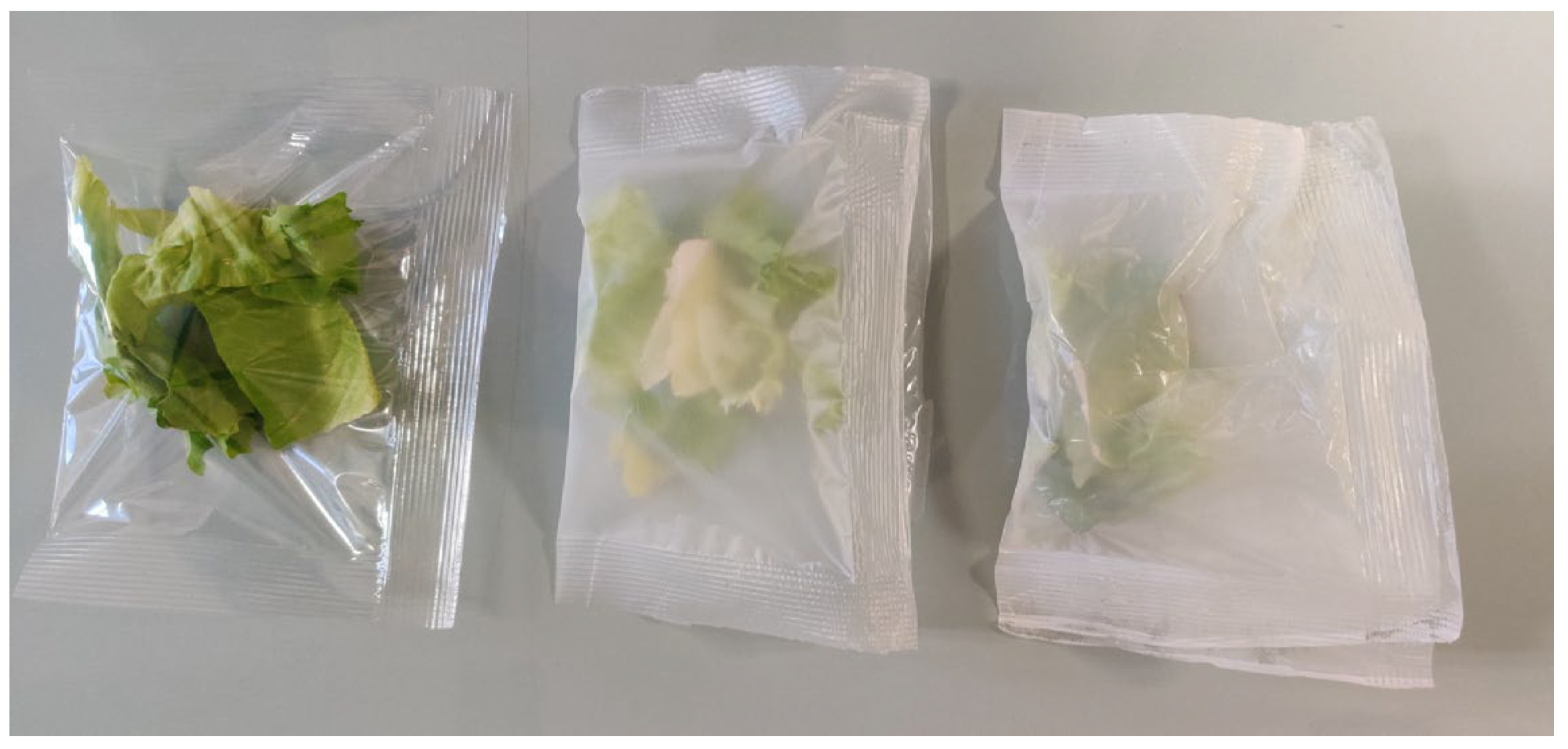 Coatings 15 01095 g001