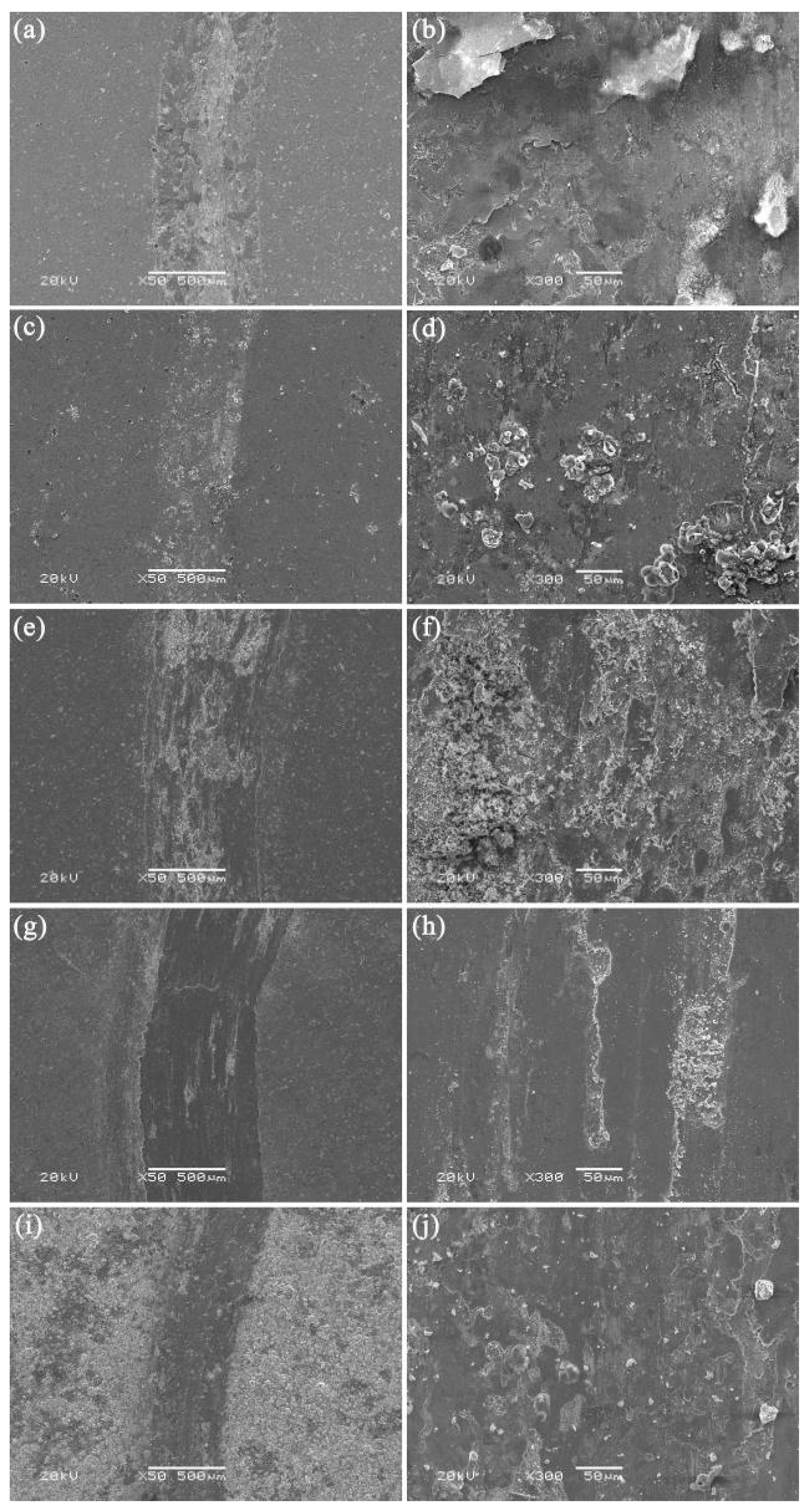 Coatings 15 01098 g003