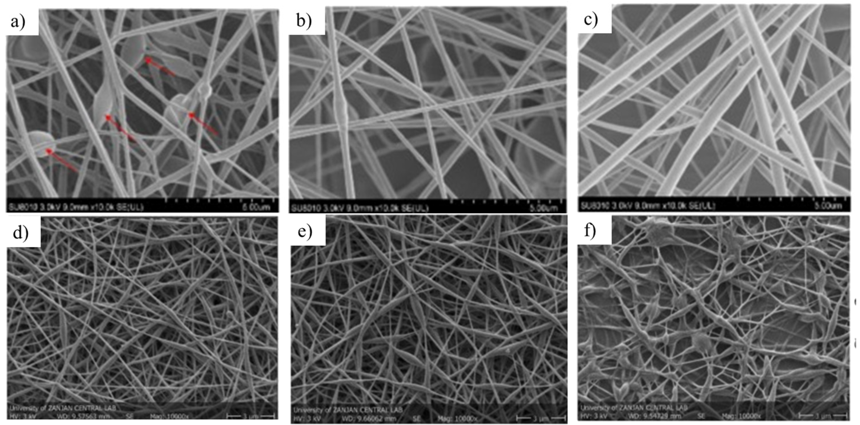 Coatings 15 01110 g002 Coatings 15 01110 g002