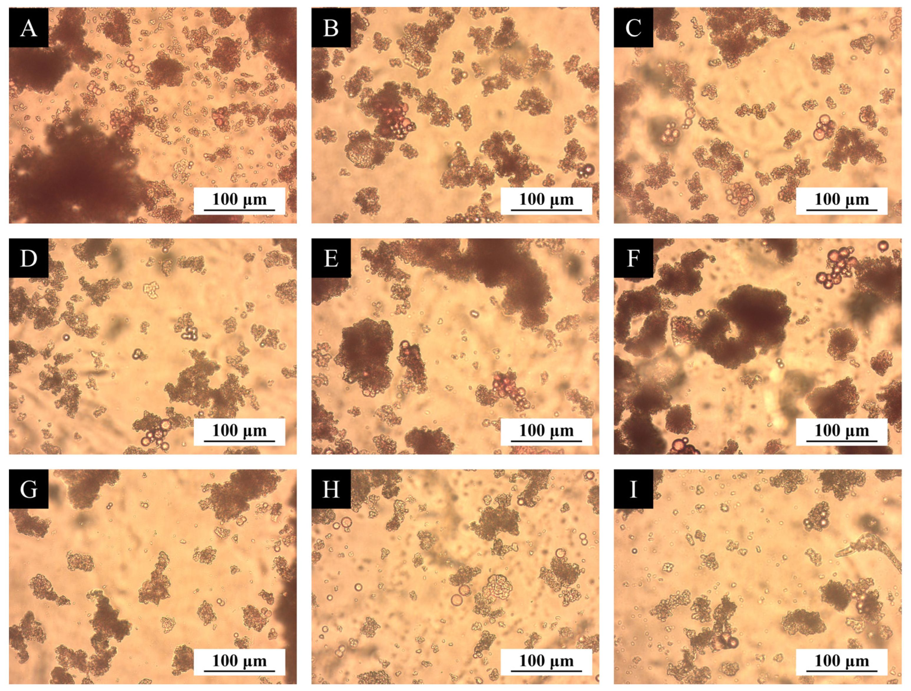 Coatings 15 01112 g003 Coatings 15 01112 g003